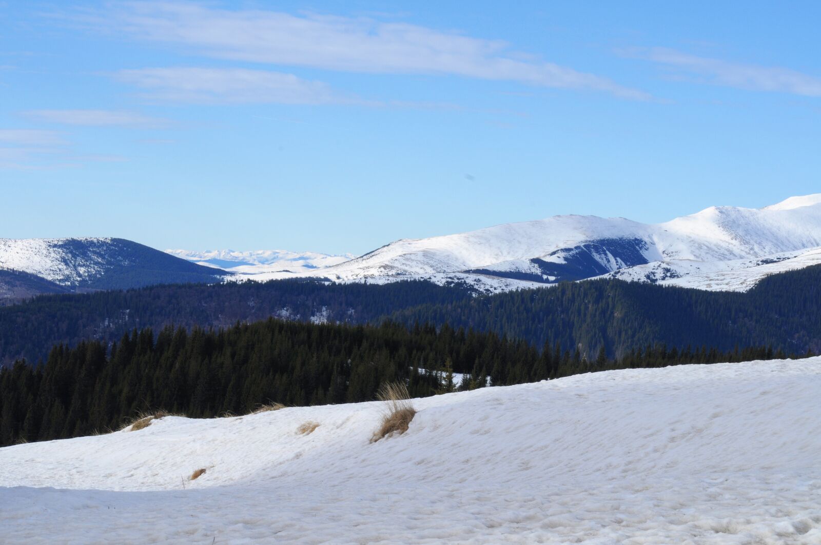 Nikon D5000 sample photo. Ranca, snow, romania photography