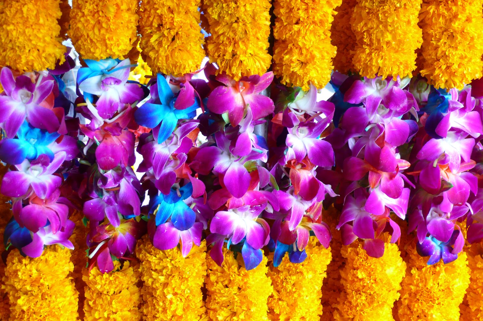 Panasonic DMC-LX2 sample photo. Thailand, flowers, gifts photography