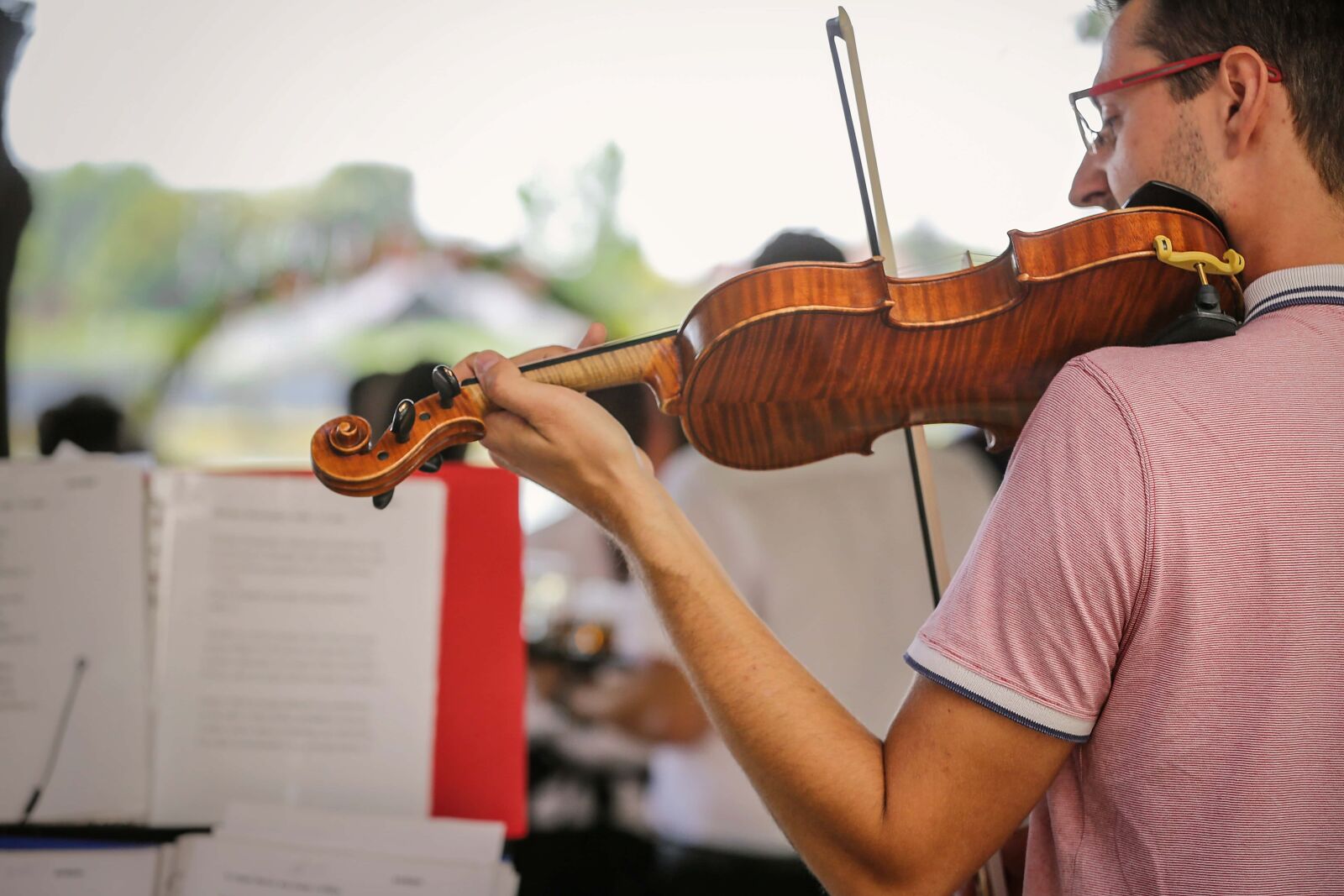 Canon EOS 5D Mark III sample photo. Violin, music, musician, orchestra photography