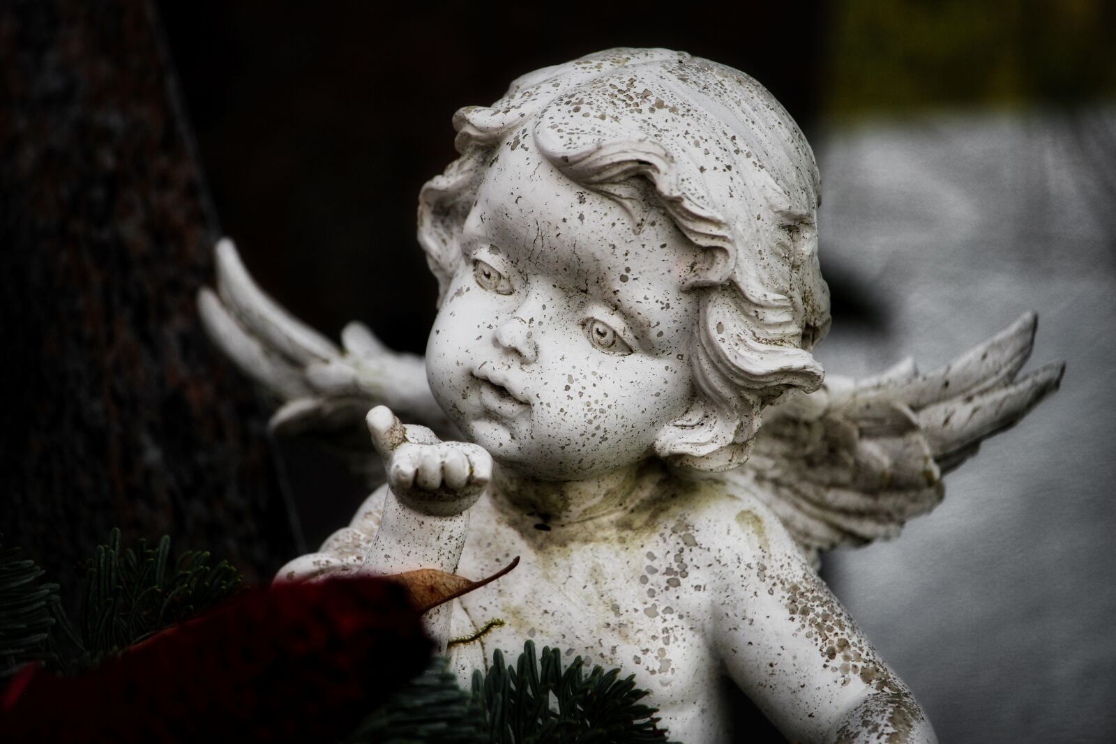 Canon EOS 100D (EOS Rebel SL1 / EOS Kiss X7) sample photo. Angel, cherub, grave photography
