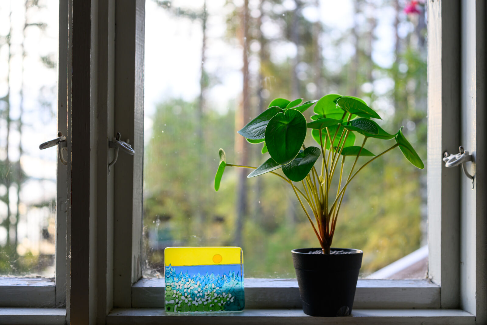 Nikon Z8 sample photo. Cottage window view photography