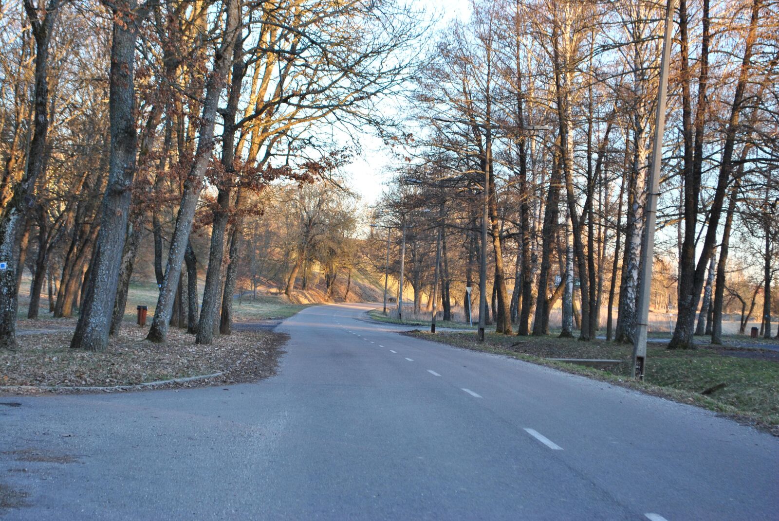 Nikon D3000 sample photo. Landscape, plants, nature photography