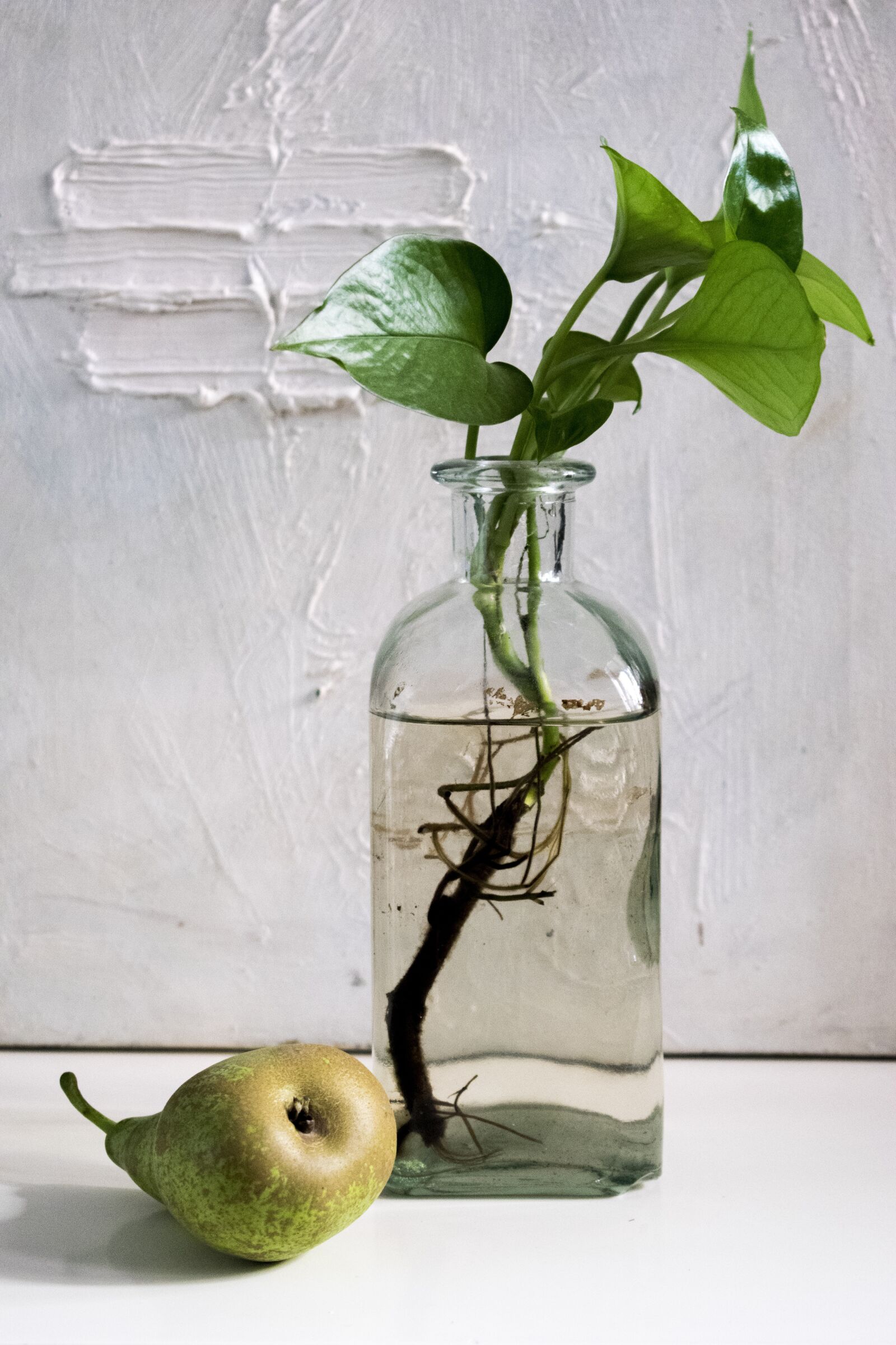 Nikon D5300 sample photo. Composition, pear, bottle photography