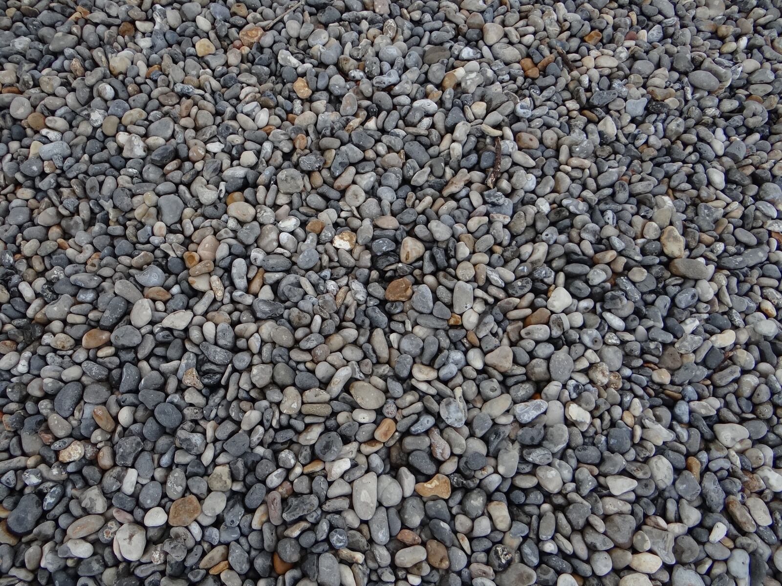 Sony DSC-HX200V sample photo. Pebble, bay sum, nature photography