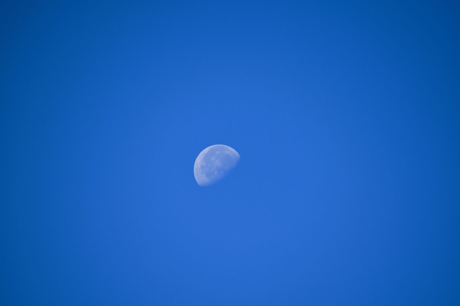 Nikon D5600 sample photo. Moon, half moon, celestial photography