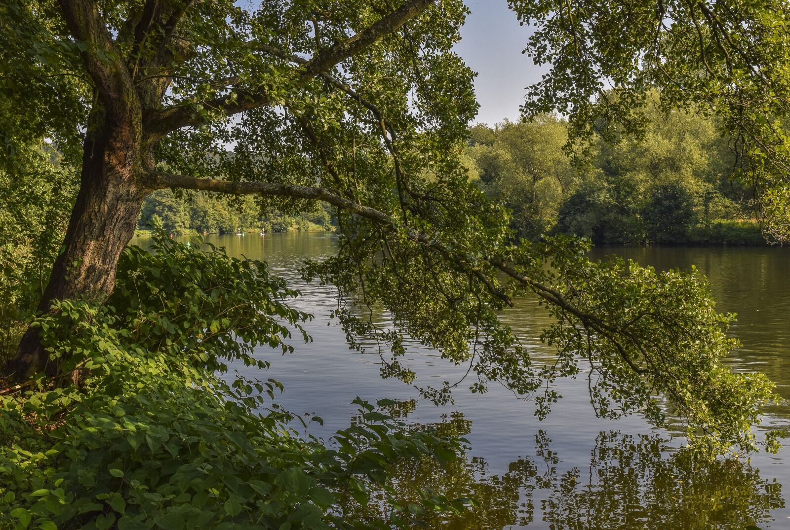 Nikon D3300 sample photo. Landscape, nature, river photography