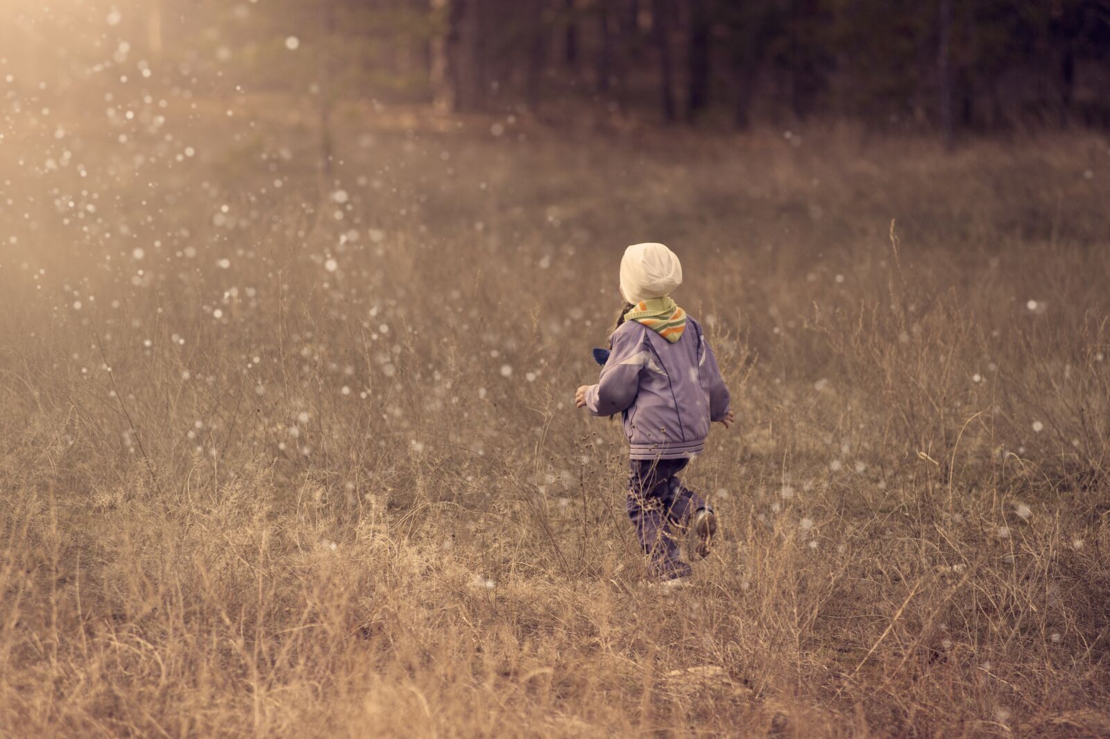 Nikon D700 sample photo. Kid, child, girl photography