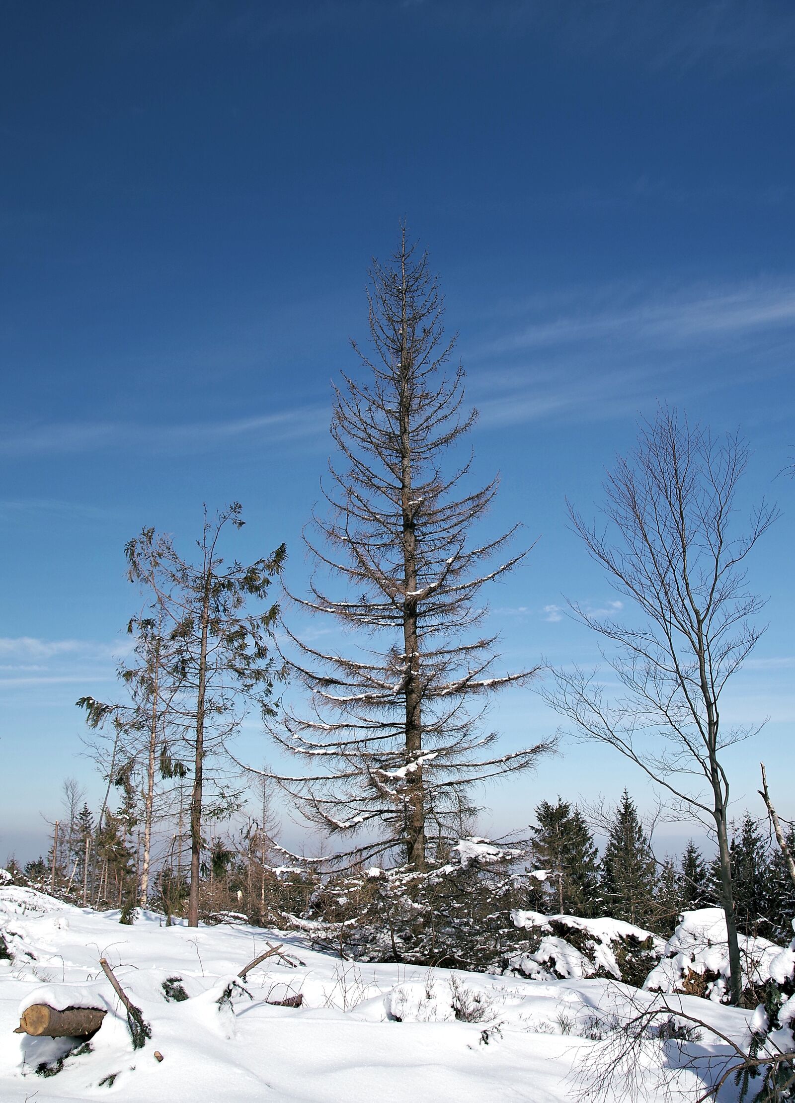 Pentax K-S2 sample photo. Winter, mountains, snow photography