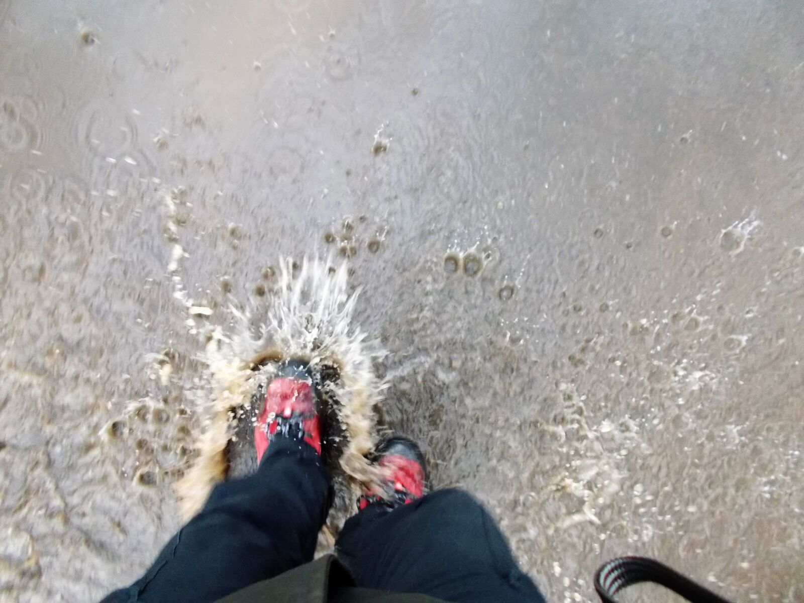 Nikon Coolpix L31 sample photo. Puddle, red, shoes, water photography