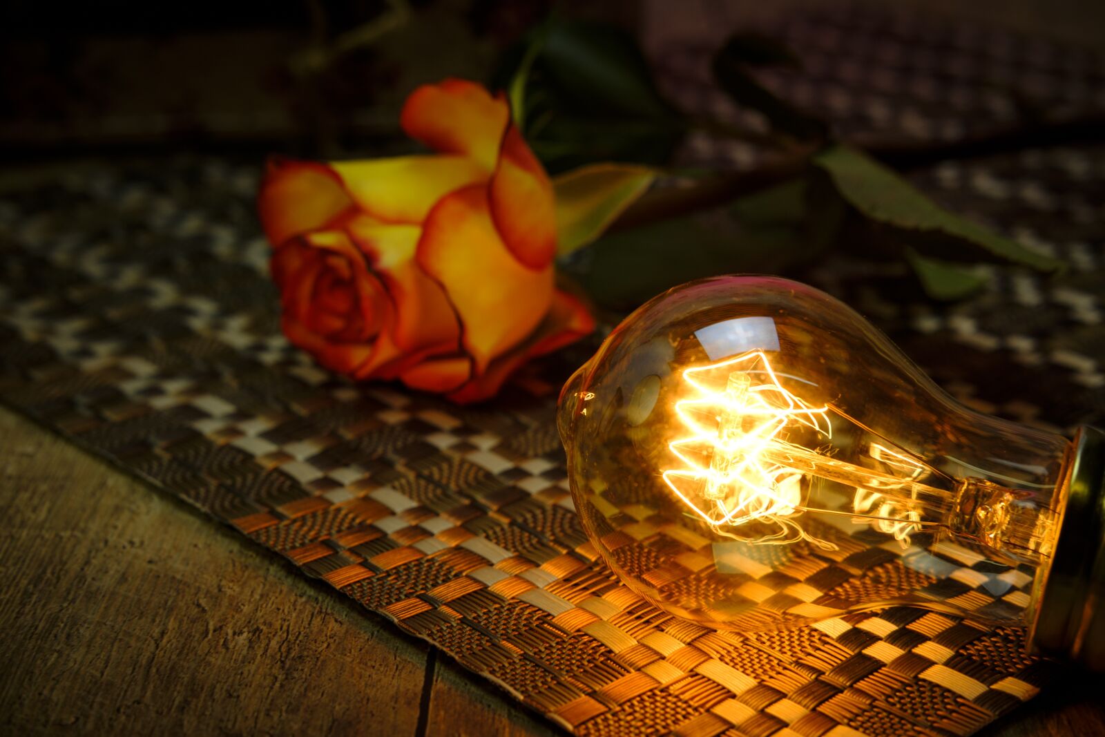 Fujifilm X-T2 + Fujifilm XF 35mm F2 R WR sample photo. Light bulb, rose, bulbs photography