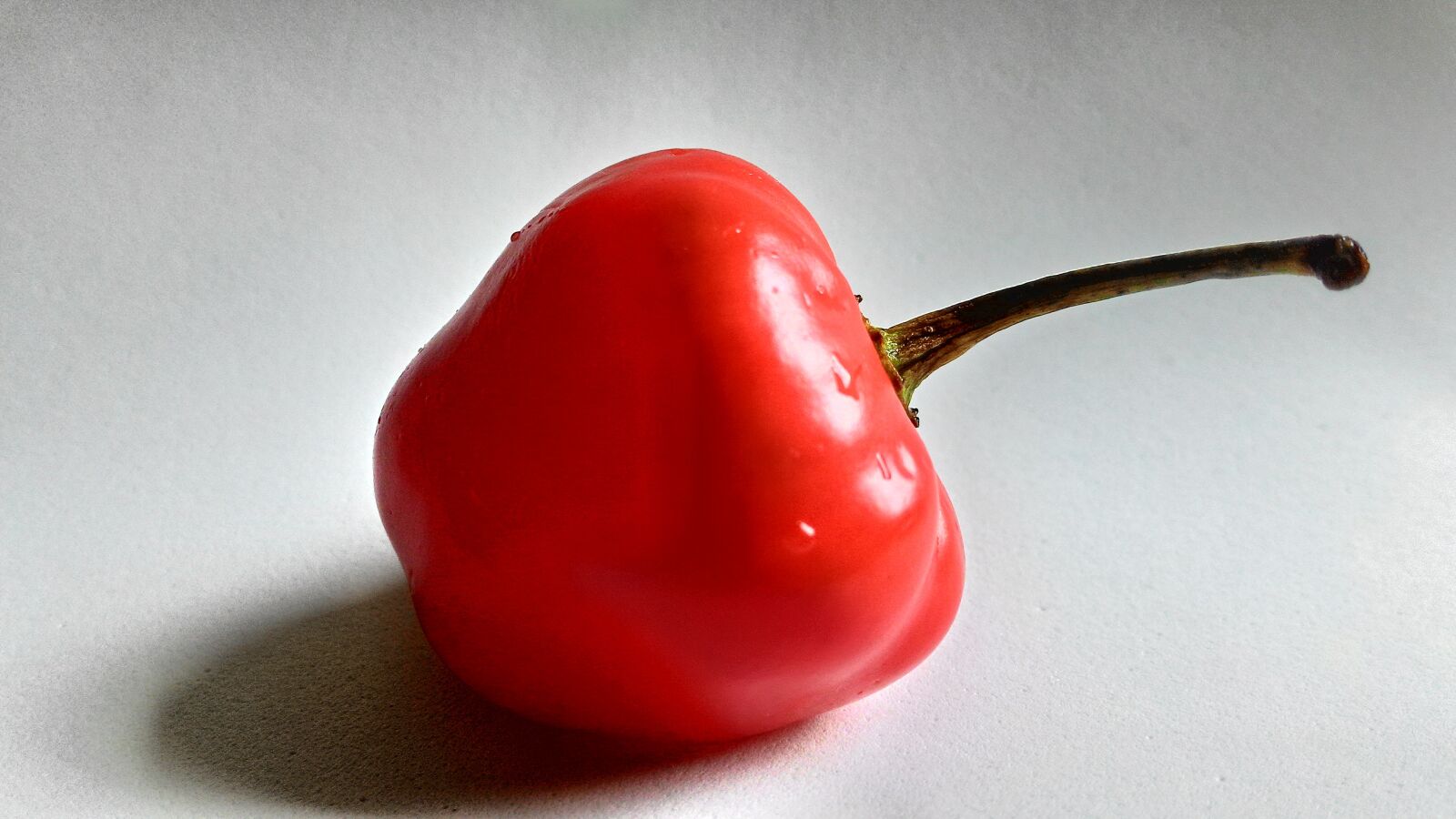 ASUS Z002 sample photo. Pepper, red, food photography