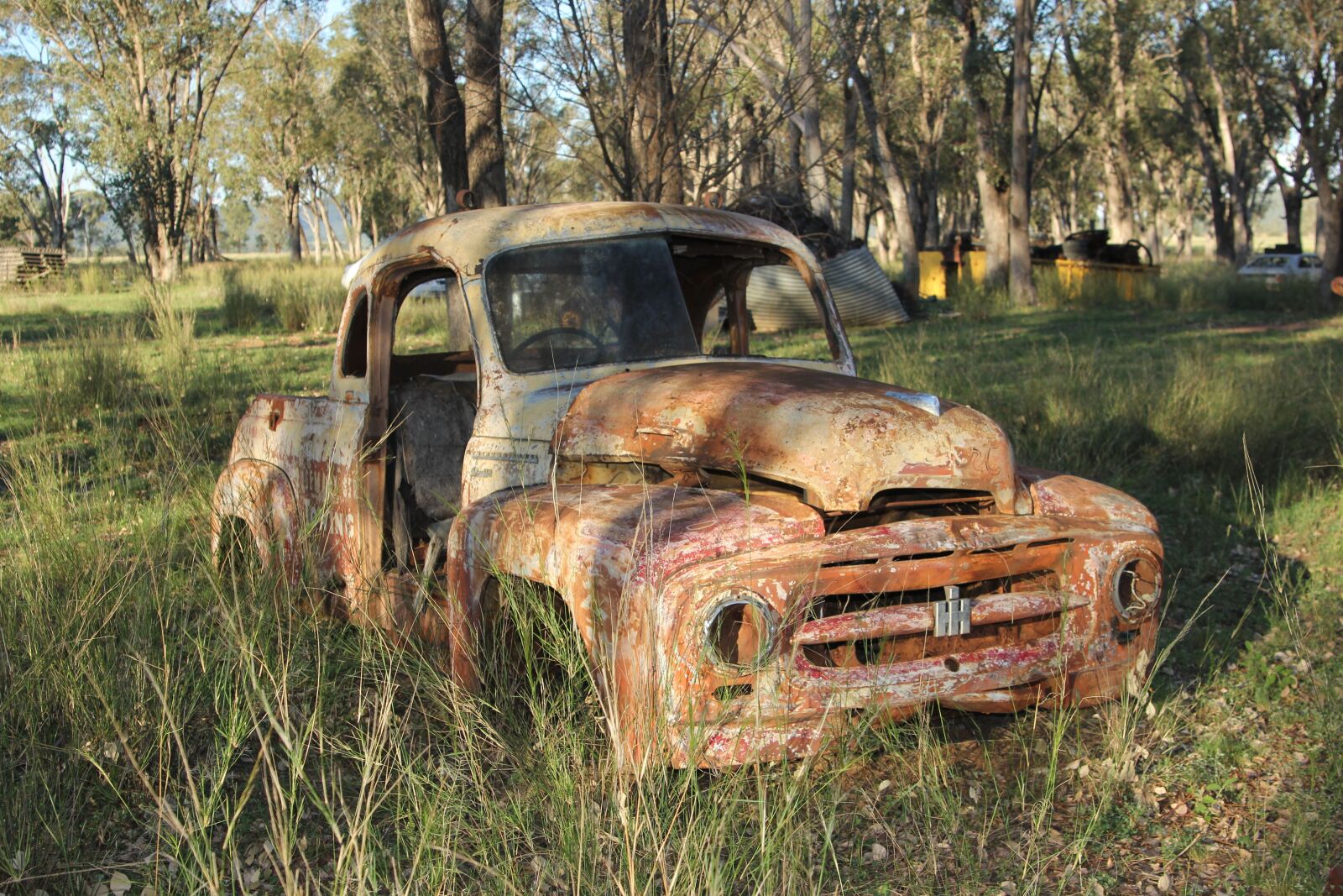 Canon EOS 60D sample photo. Trees, rusty, old photography