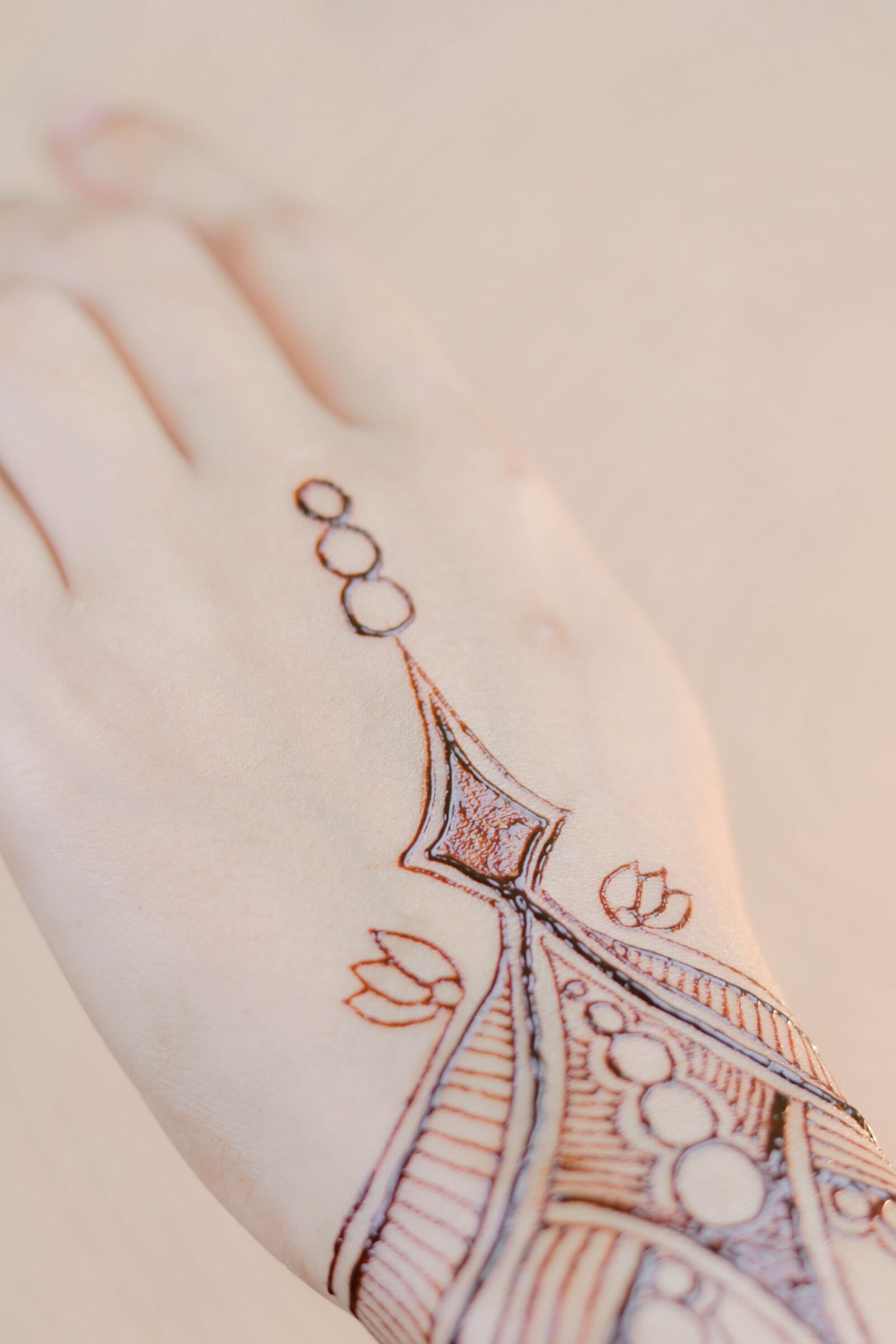 Canon EOS 80D + Canon EF 50mm F1.8 STM sample photo. Henna, hands, mehendi photography
