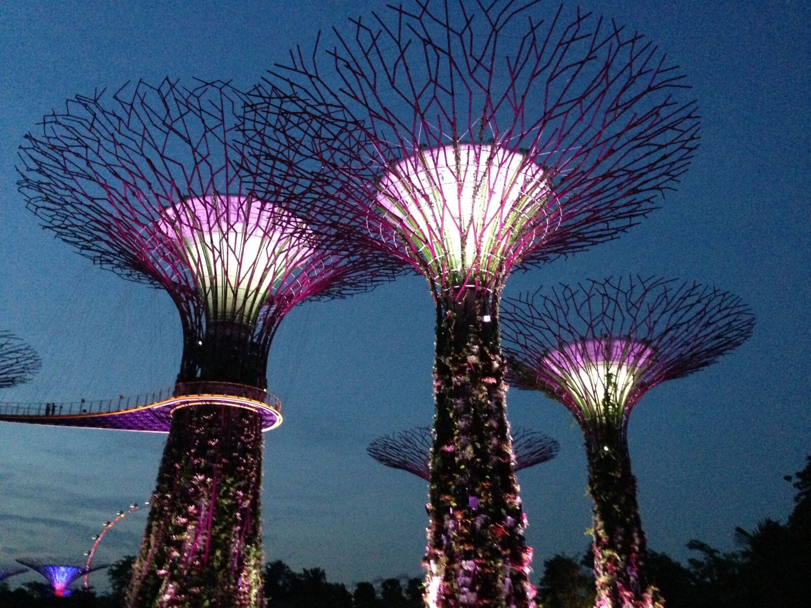 iPhone 5 back camera 4.12mm f/2.4 sample photo. City, lights, gardens, singapore photography