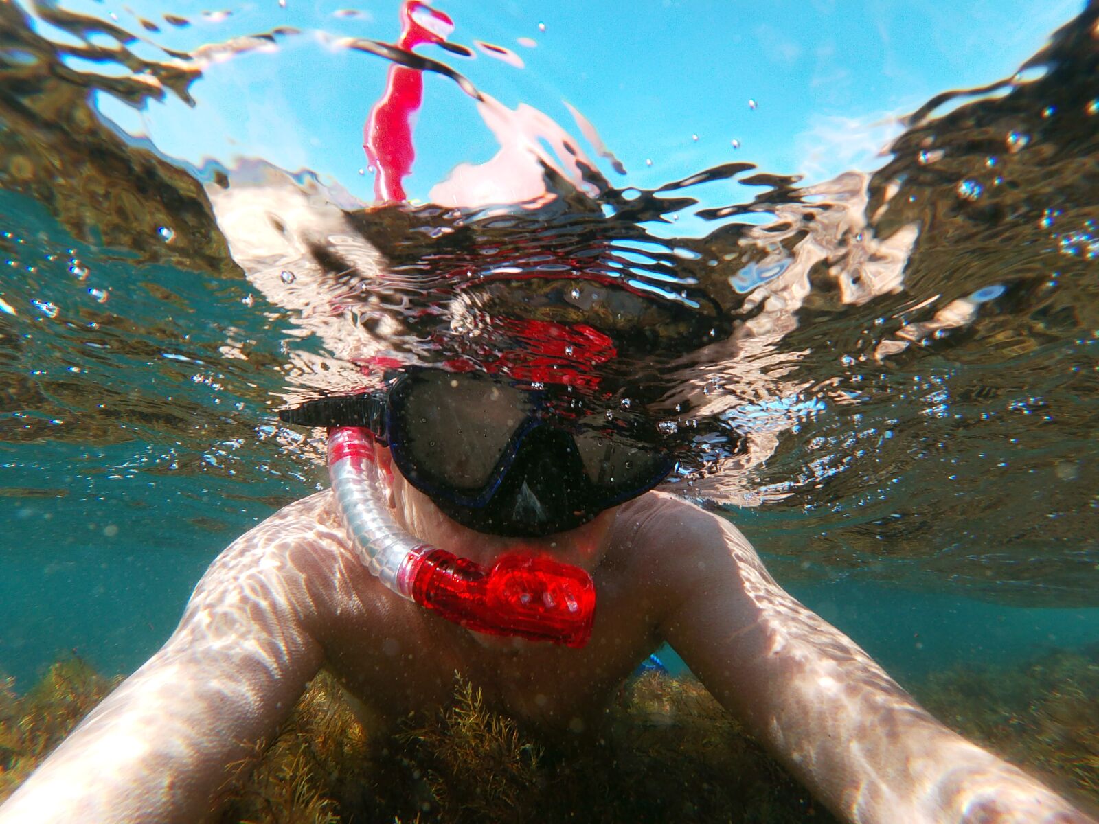 GoPro Hero7 White sample photo. море, underwater, gopro photography
