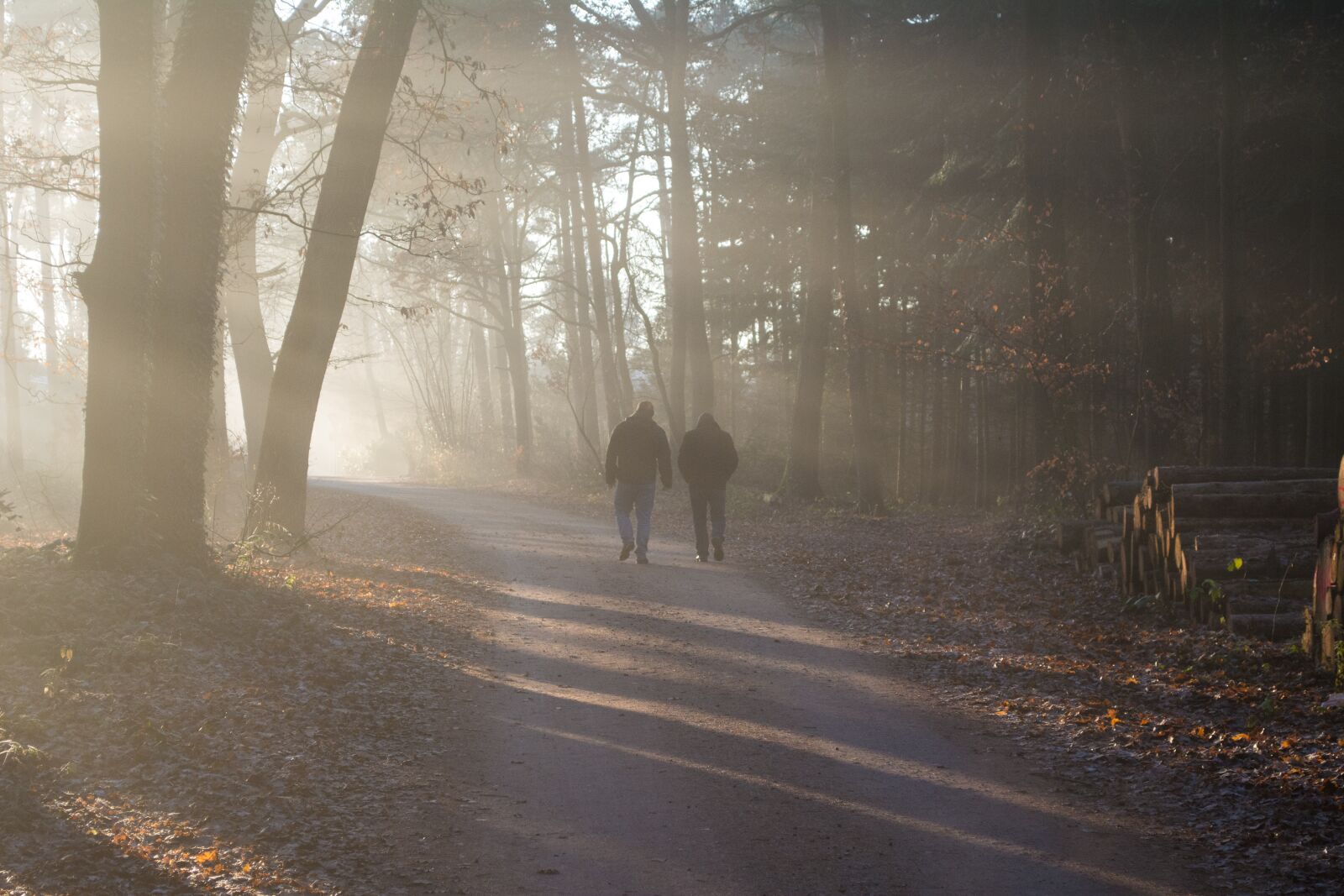 Nikon D5200 sample photo. People, forest, outside photography