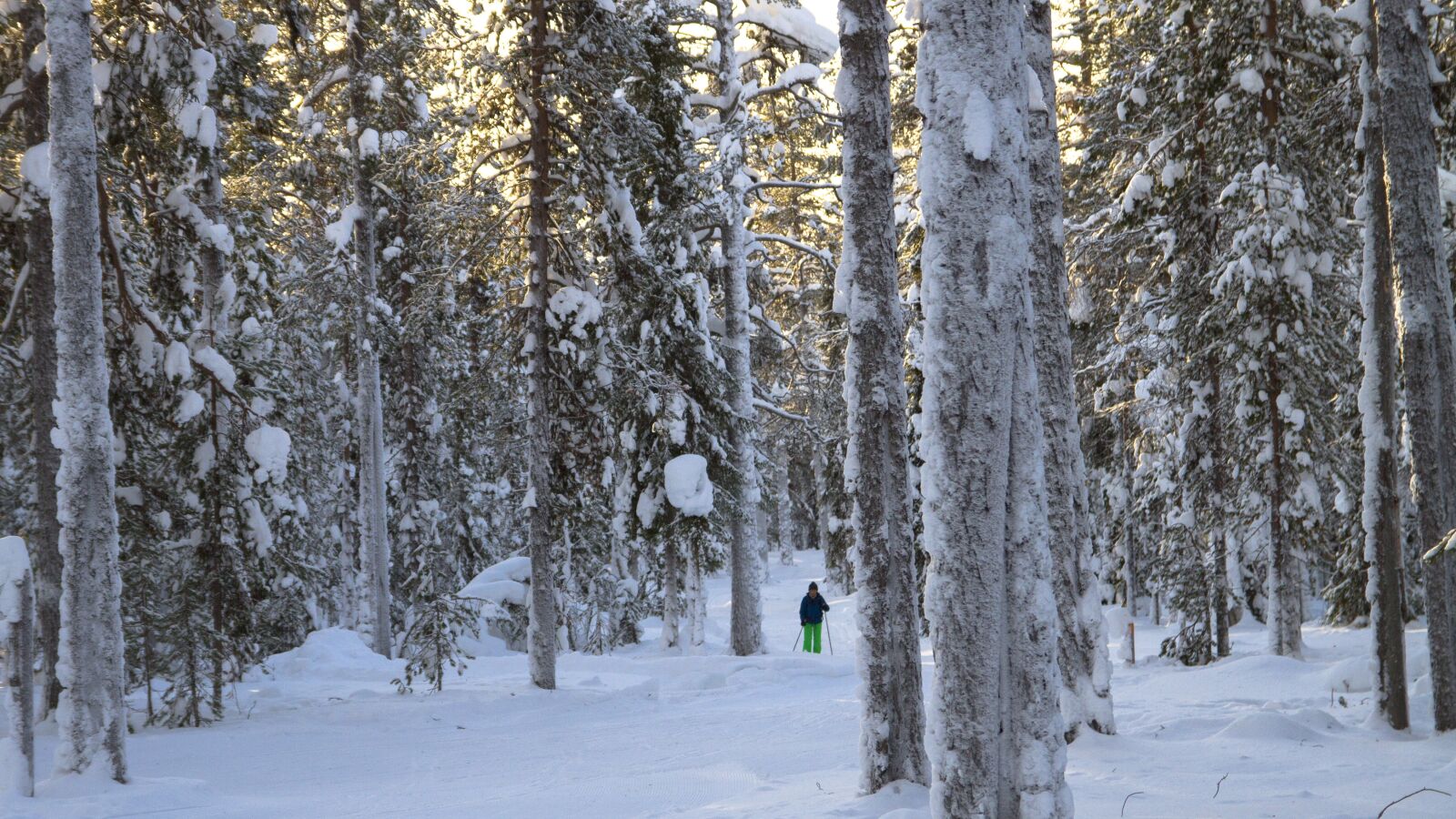 Canon EOS 7D sample photo. Lapland, winter, snow photography