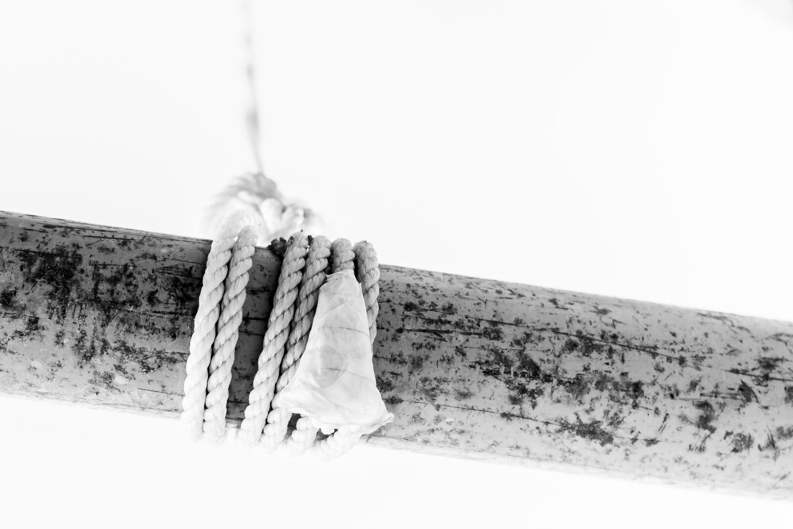 Sony a7 II + Sony FE 28-70mm F3.5-5.6 OSS sample photo. Black, and, white, knot photography