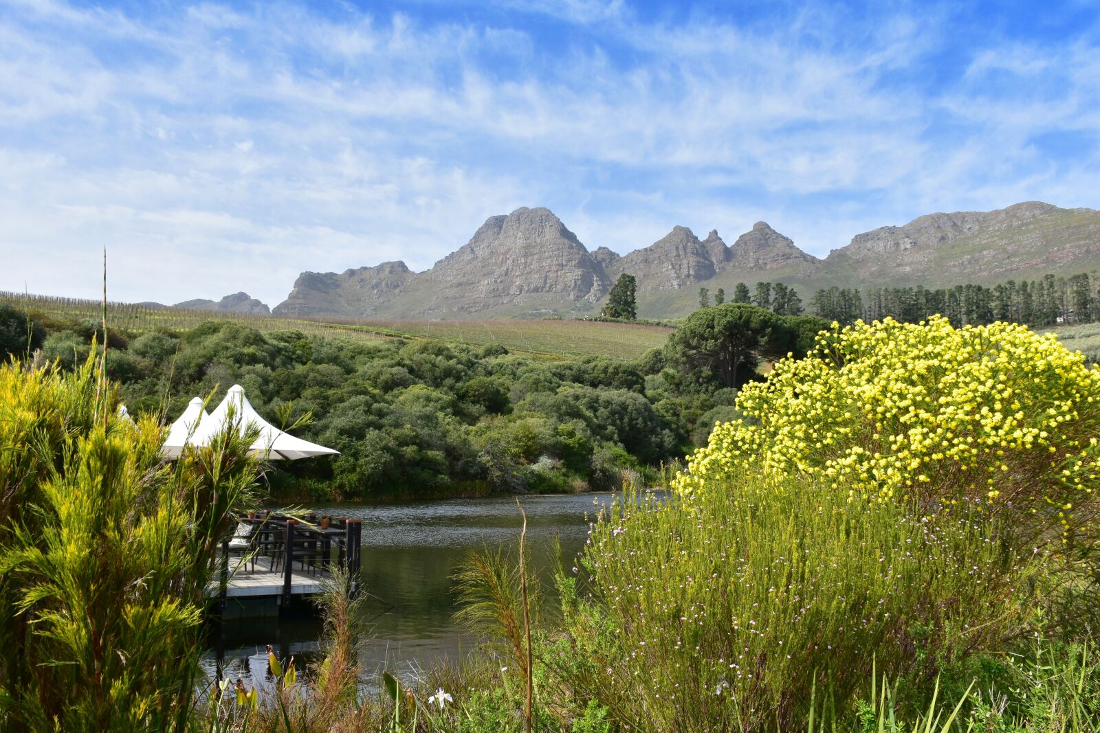 Nikon D5500 sample photo. Dam, cape town, winelands photography