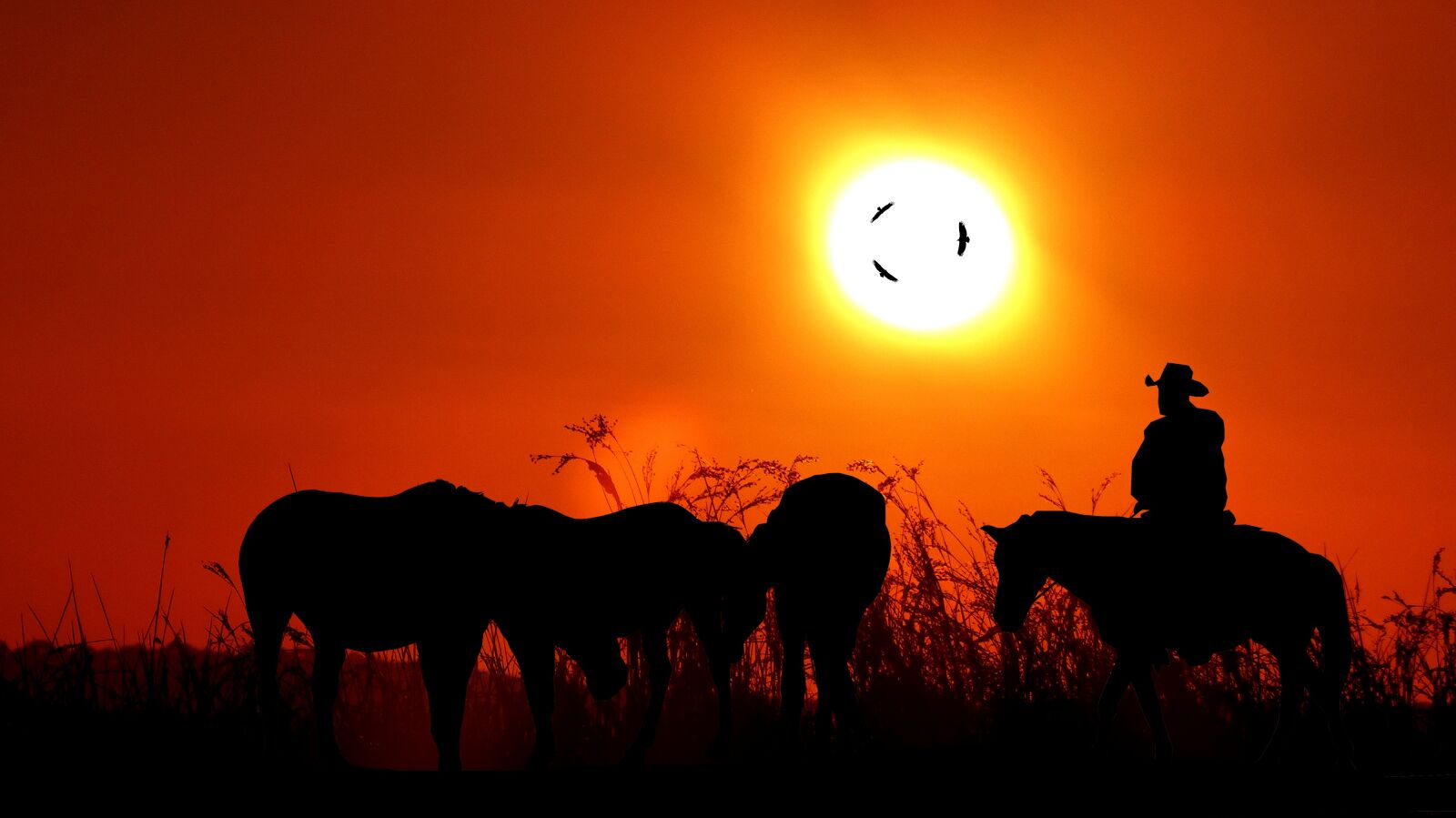Panasonic Lumix DMC-FZ200 sample photo. Sunset, jumper, horses photography