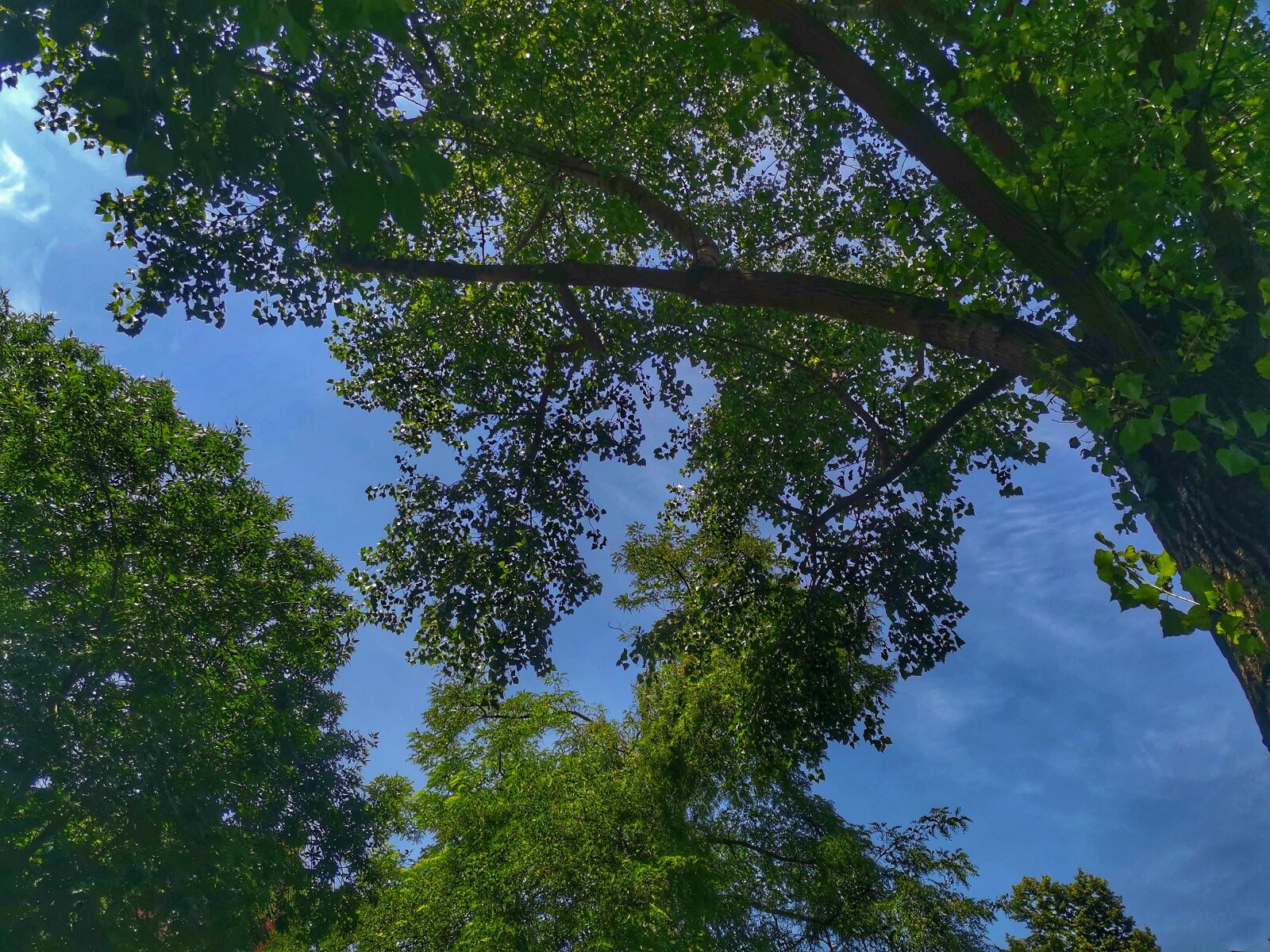 HUAWEI YAL-L21 sample photo