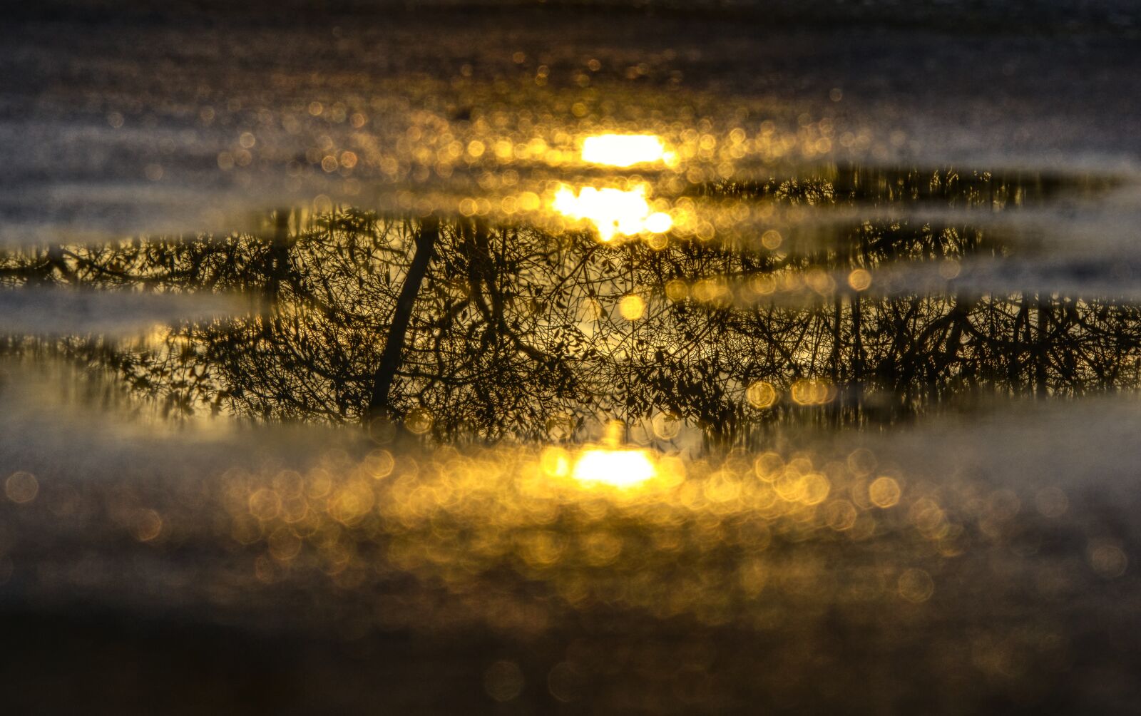 Sony E 55-210mm F4.5-6.3 OSS sample photo. Water puddle, mirroring, reflection photography