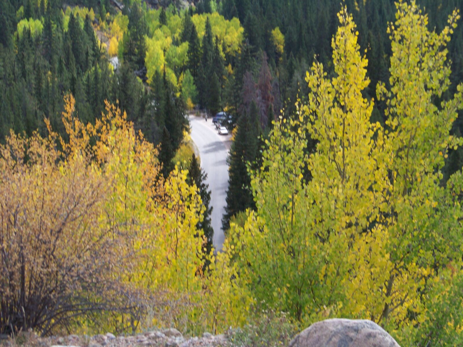 Kodak Z812 IS ZOOM DIGITAL CAMERA sample photo. Trees, colorado, forest photography