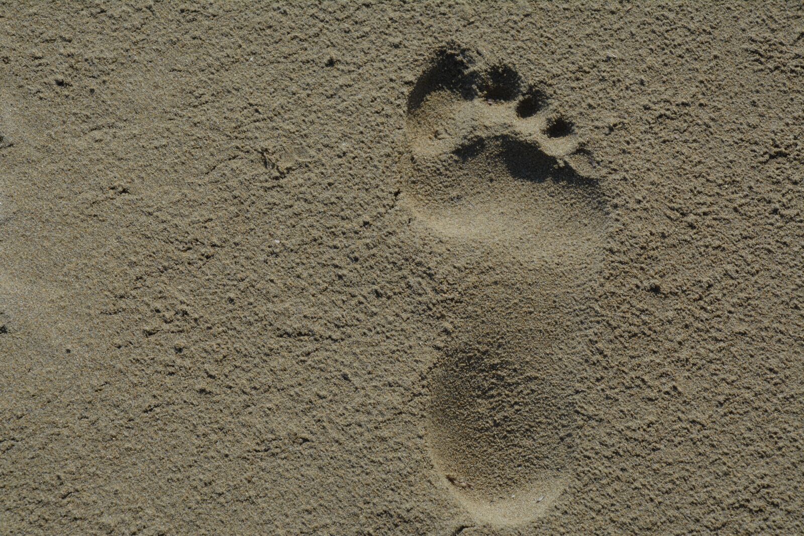 Nikon D5200 sample photo. Footprint, sand, beach photography