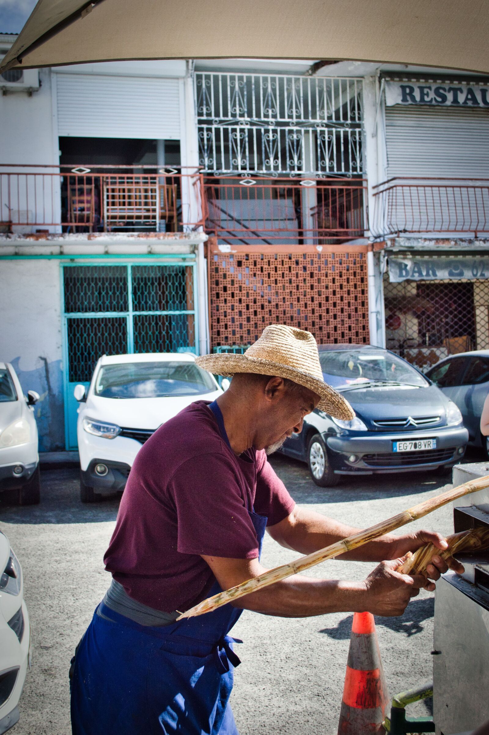 Nikon D3200 sample photo. Wayoflife, martinique, sugar cane photography