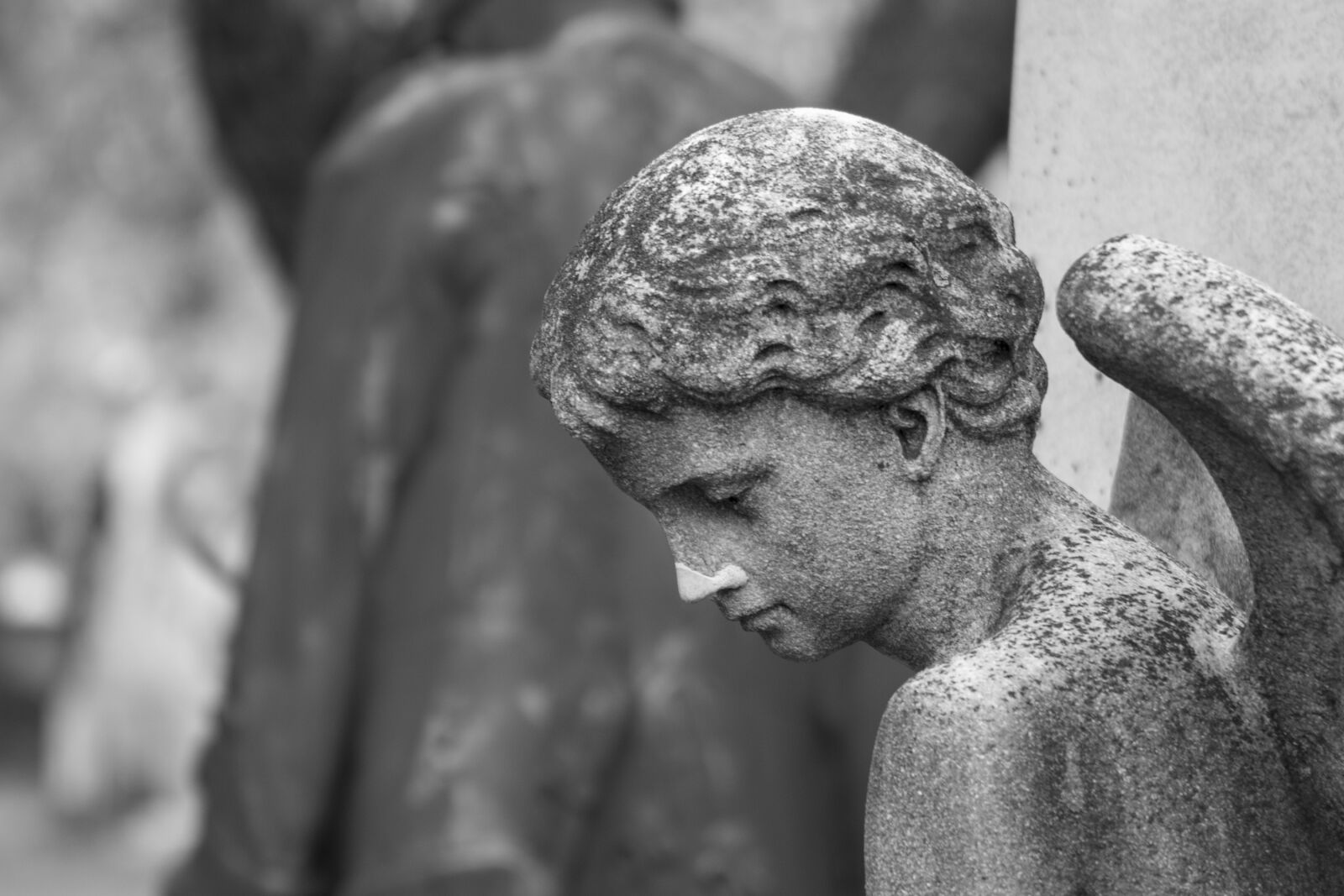 Canon EOS 750D (EOS Rebel T6i / EOS Kiss X8i) sample photo. Angel, cemetery, wings photography