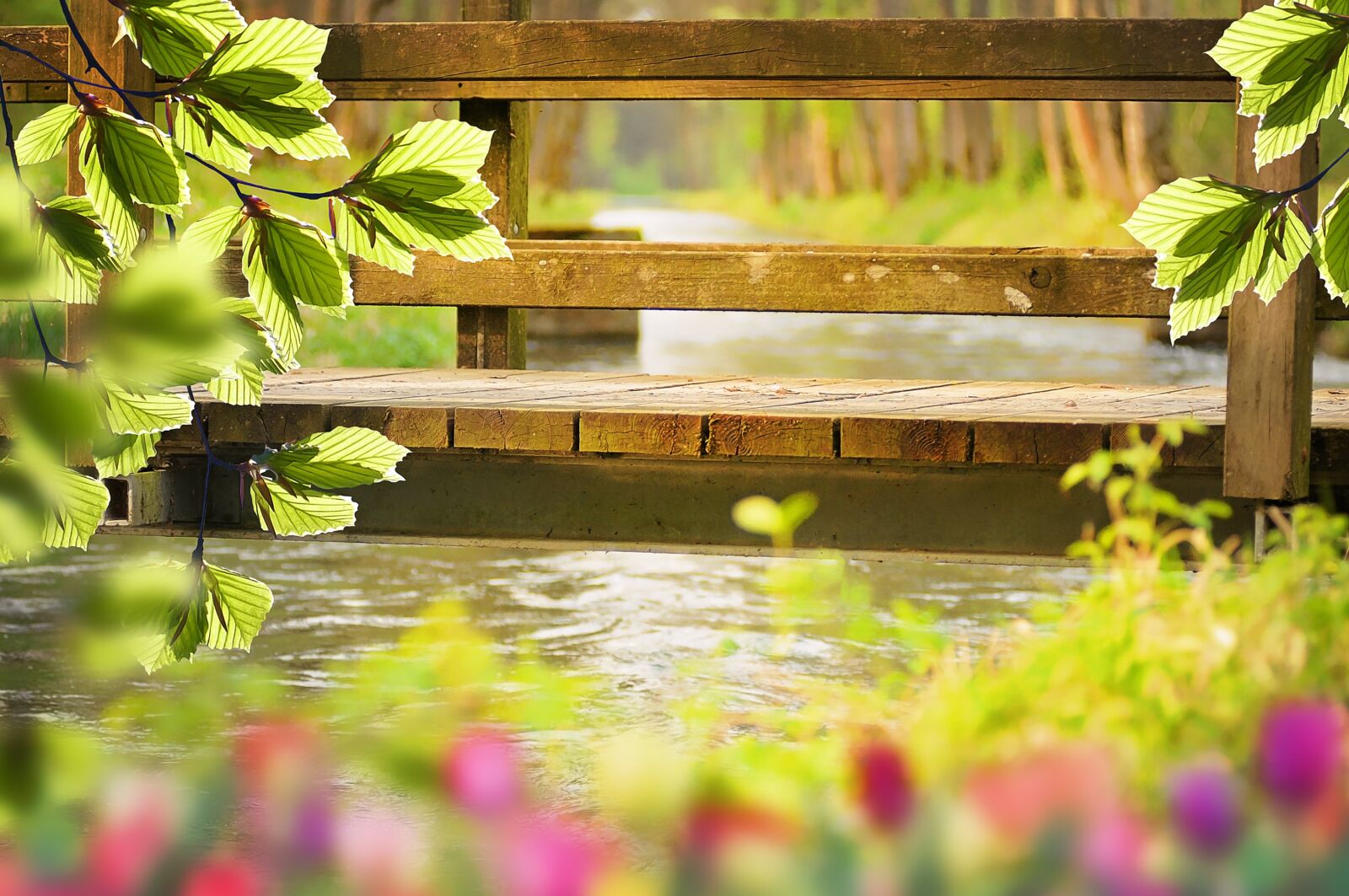 Nikon D300 sample photo. Nature, spring, bridge photography