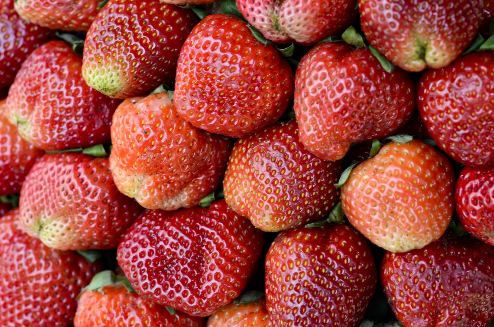 Nikon D7000 sample photo. Strawberries, red, dalat photography