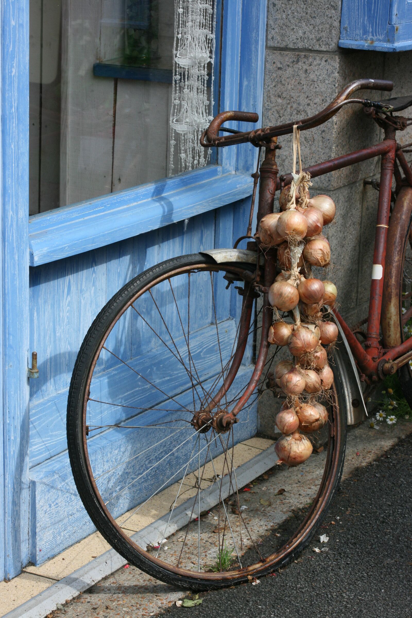 Canon EOS 400D (EOS Digital Rebel XTi / EOS Kiss Digital X) sample photo. Brittany, bike, onions photography