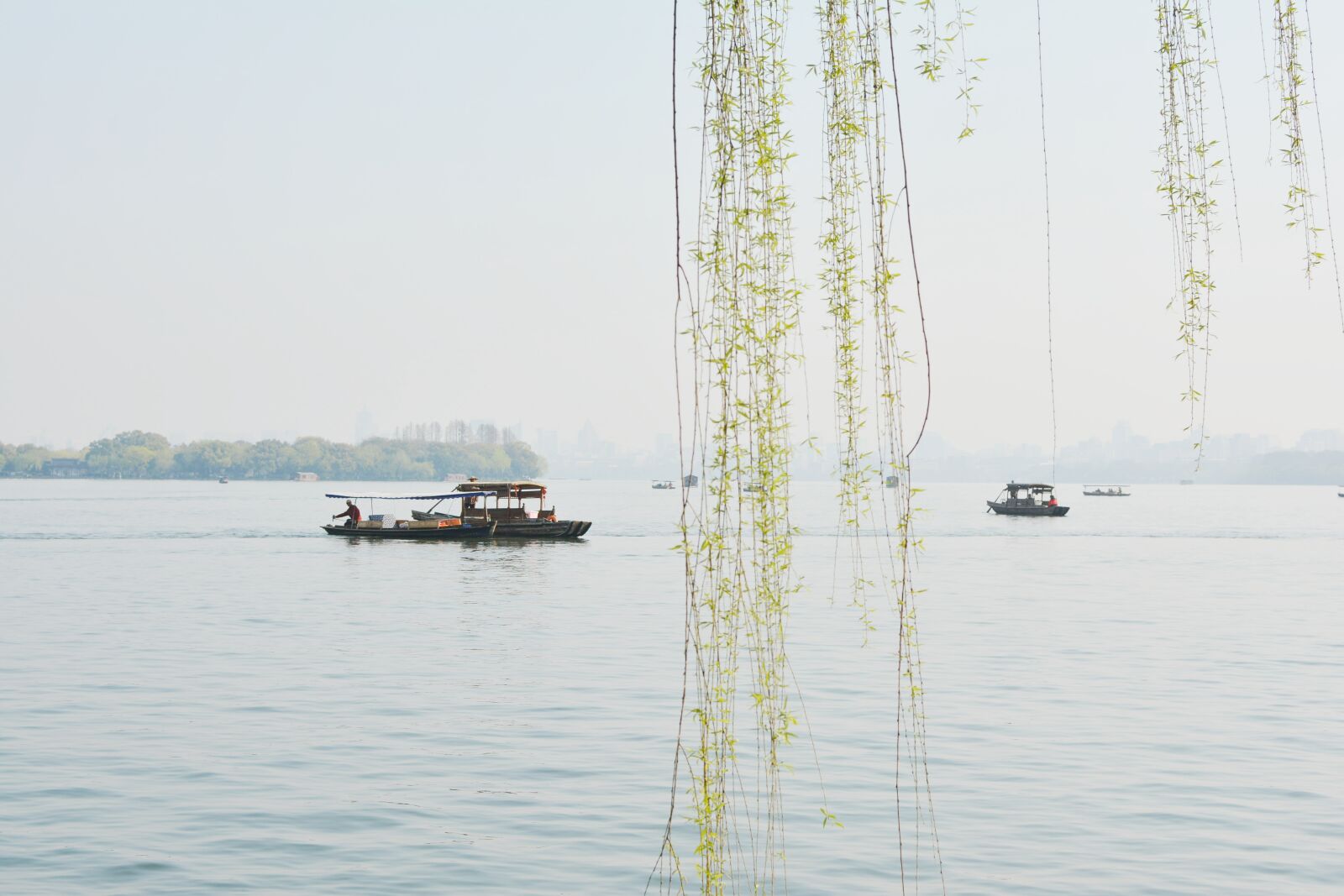 Nikon D7100 sample photo. Spring, wicker, lake photography