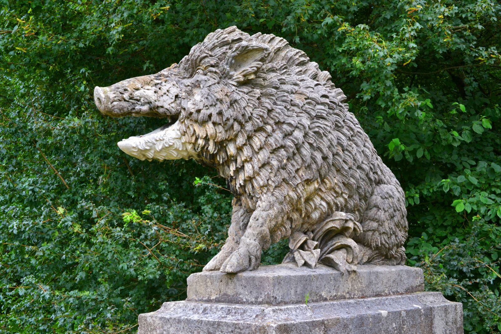 Nikon D3100 sample photo. Boar, statue, sculpture photography