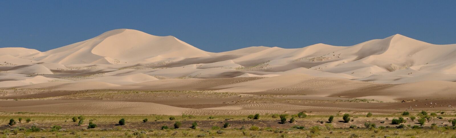 Nikon D300 sample photo. Mongolia, desert, panorama photography
