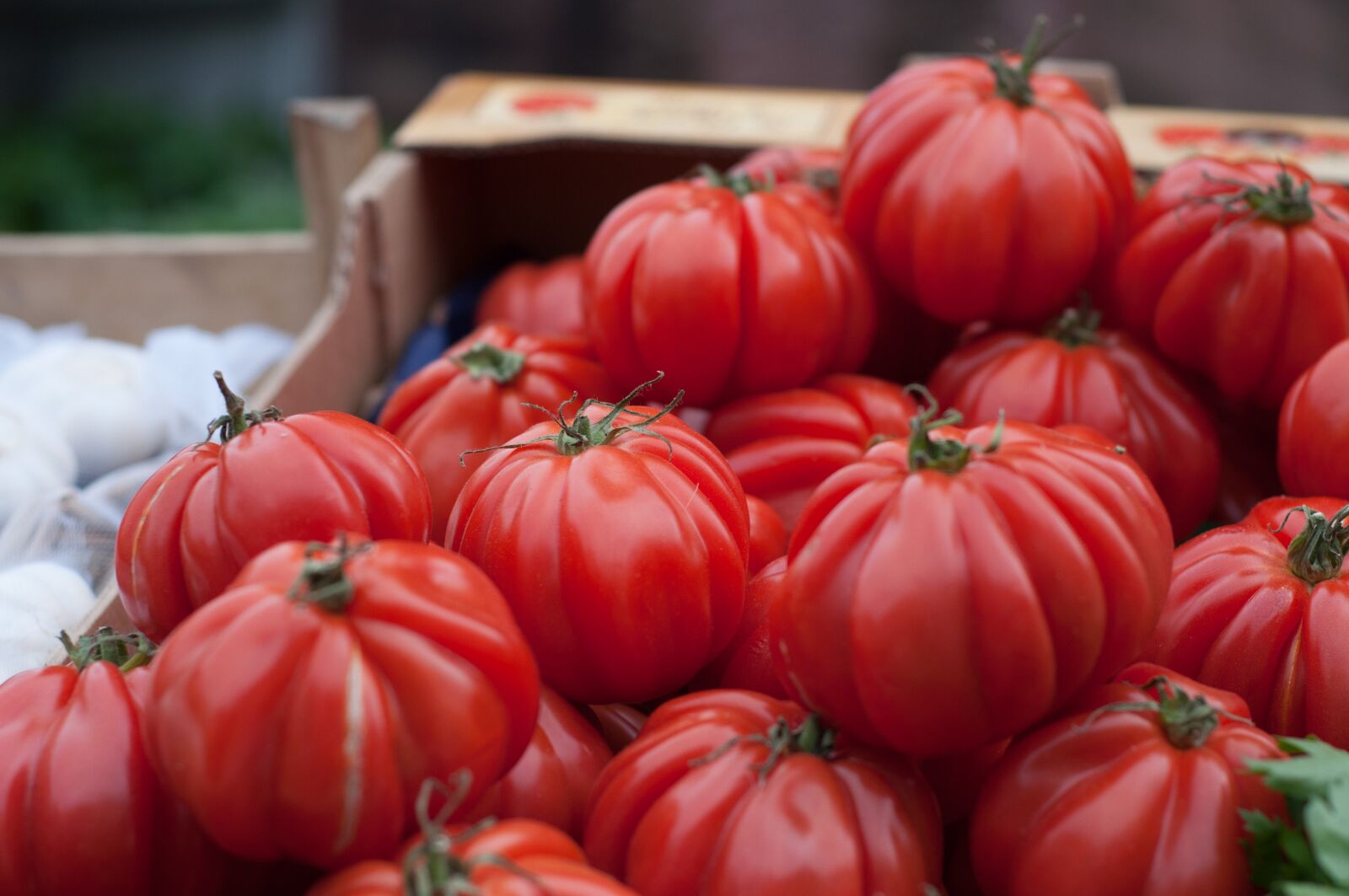 Nikon D90 sample photo. Healthy, red, tomatoes photography
