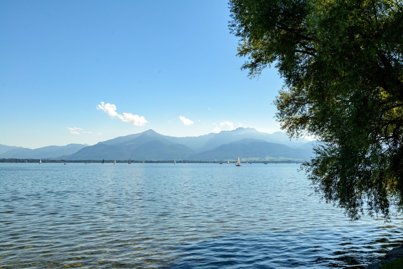 Nikon D800 sample photo. Chiemsee, mountains, lake photography