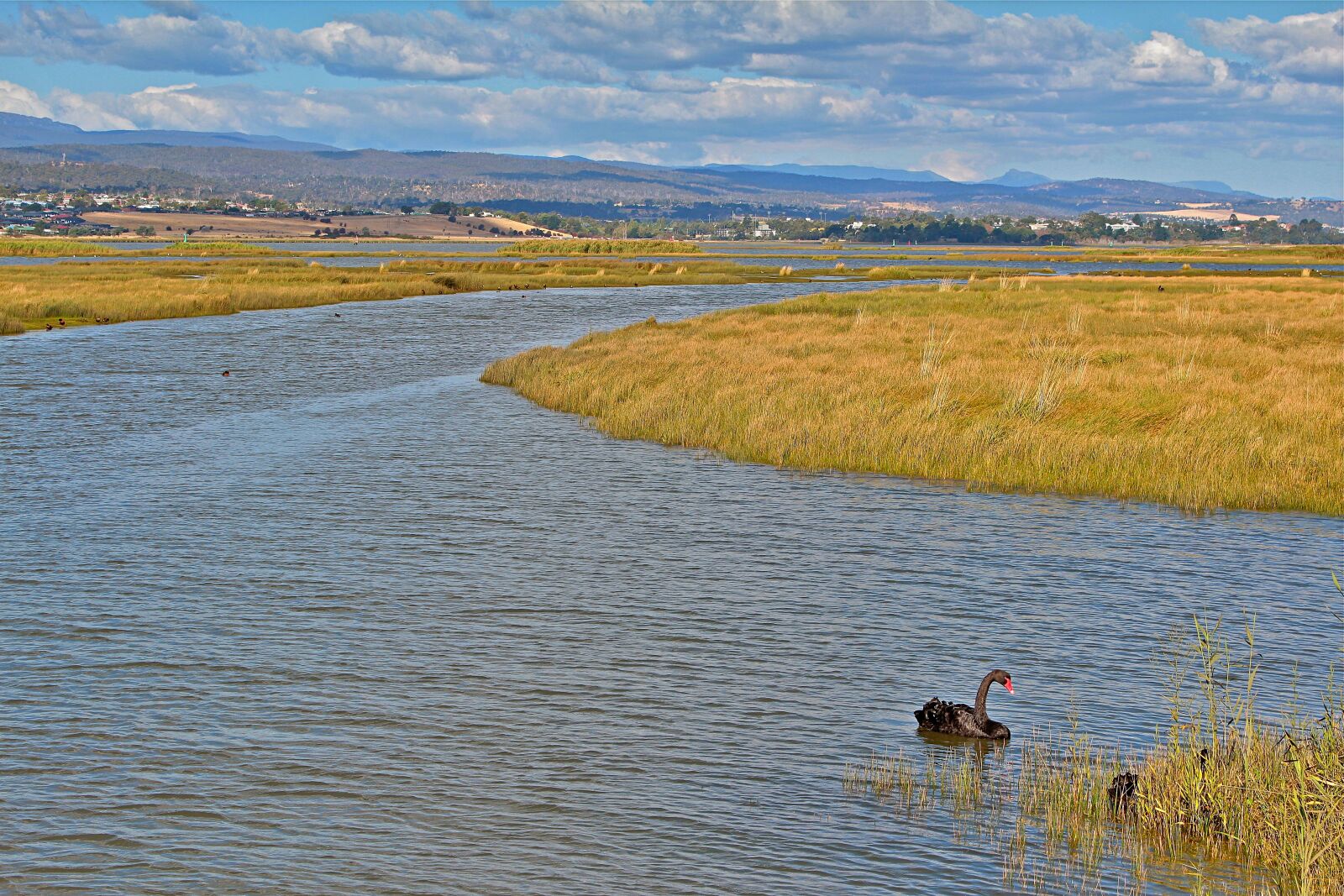 Canon EOS 600D (Rebel EOS T3i / EOS Kiss X5) sample photo. Australia, tasmania, nature photography