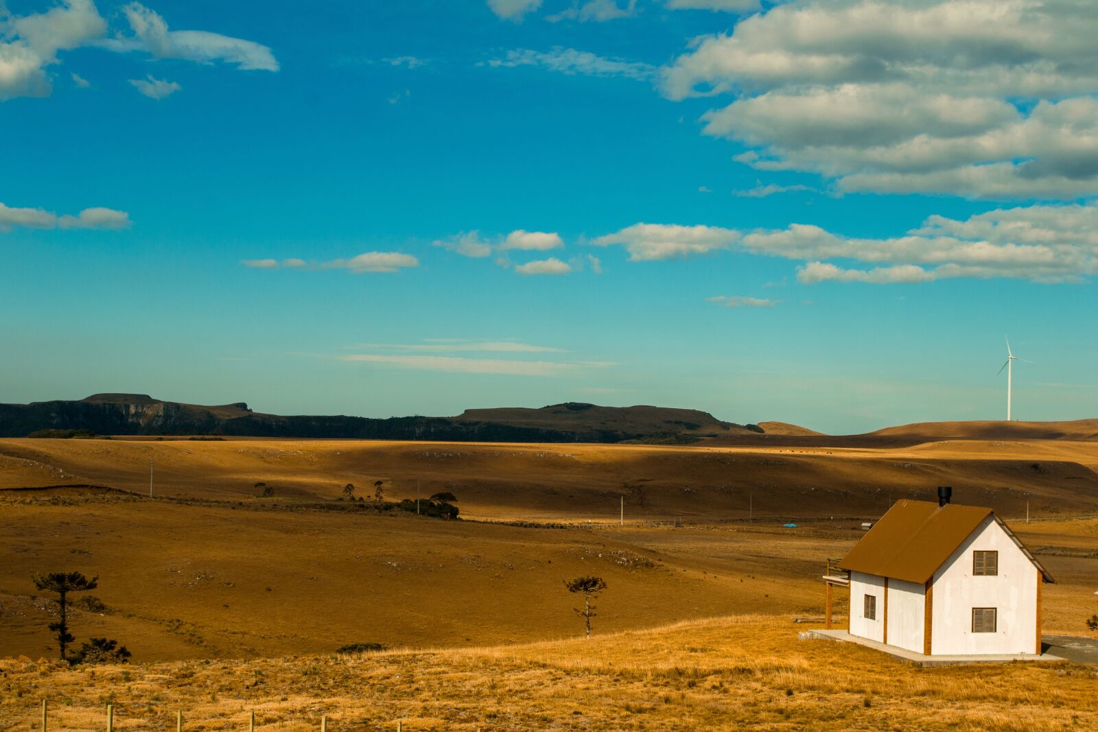 Nikon D3100 sample photo. Gold field, plateau, expansion photography