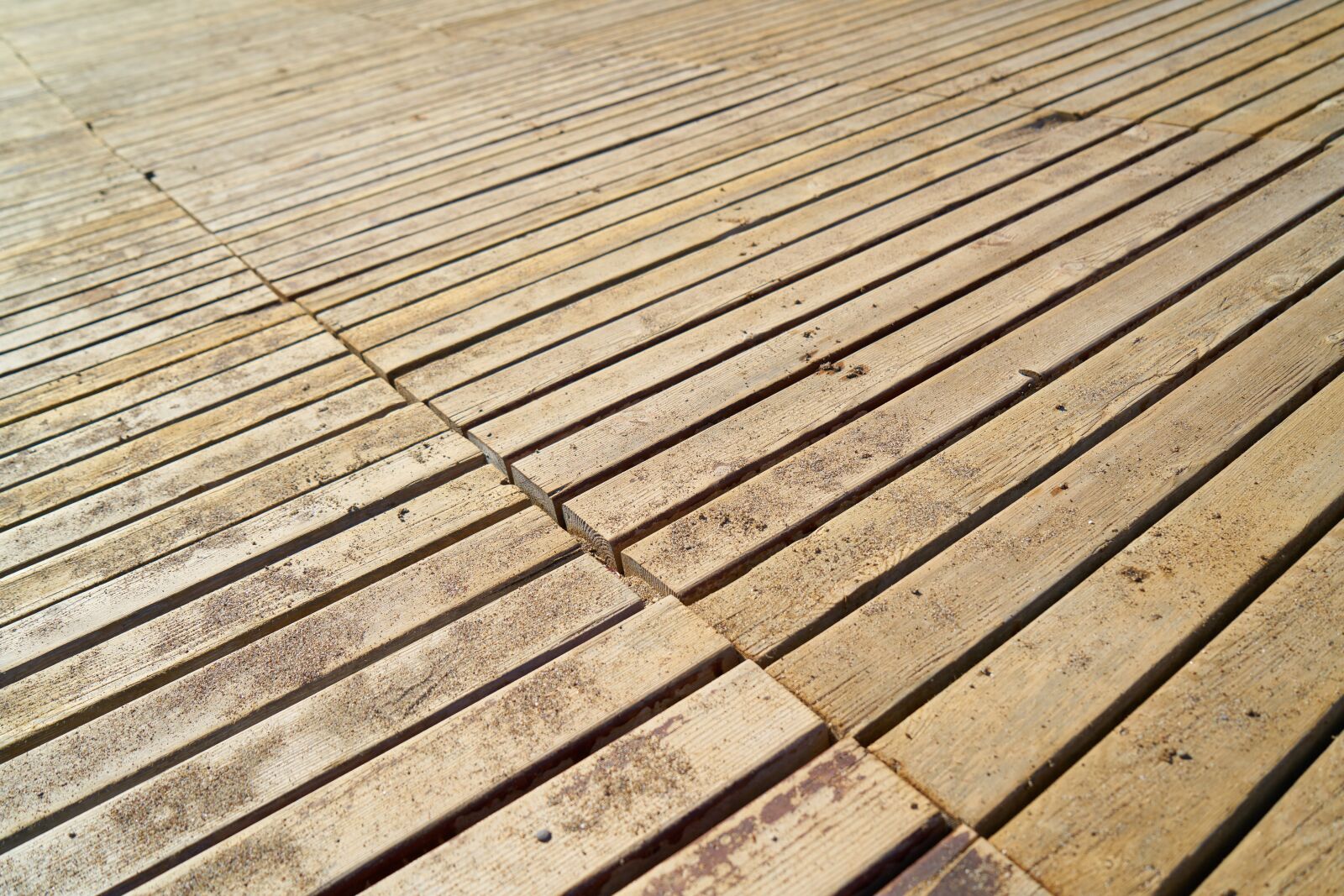 Sony a7R II sample photo. Wood, texture, ground photography