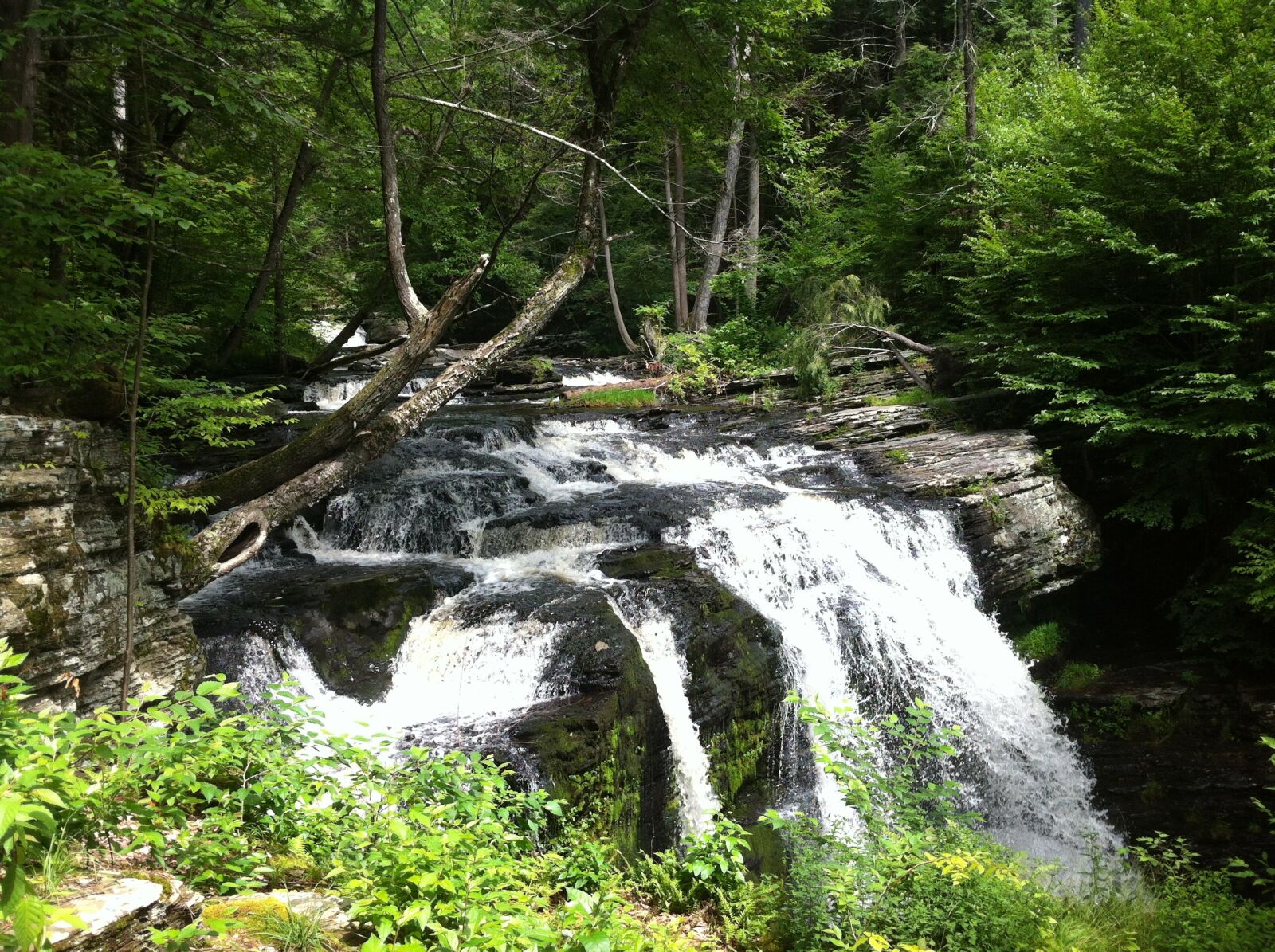 Apple iPhone 4 sample photo. Waterfall, water, forest photography