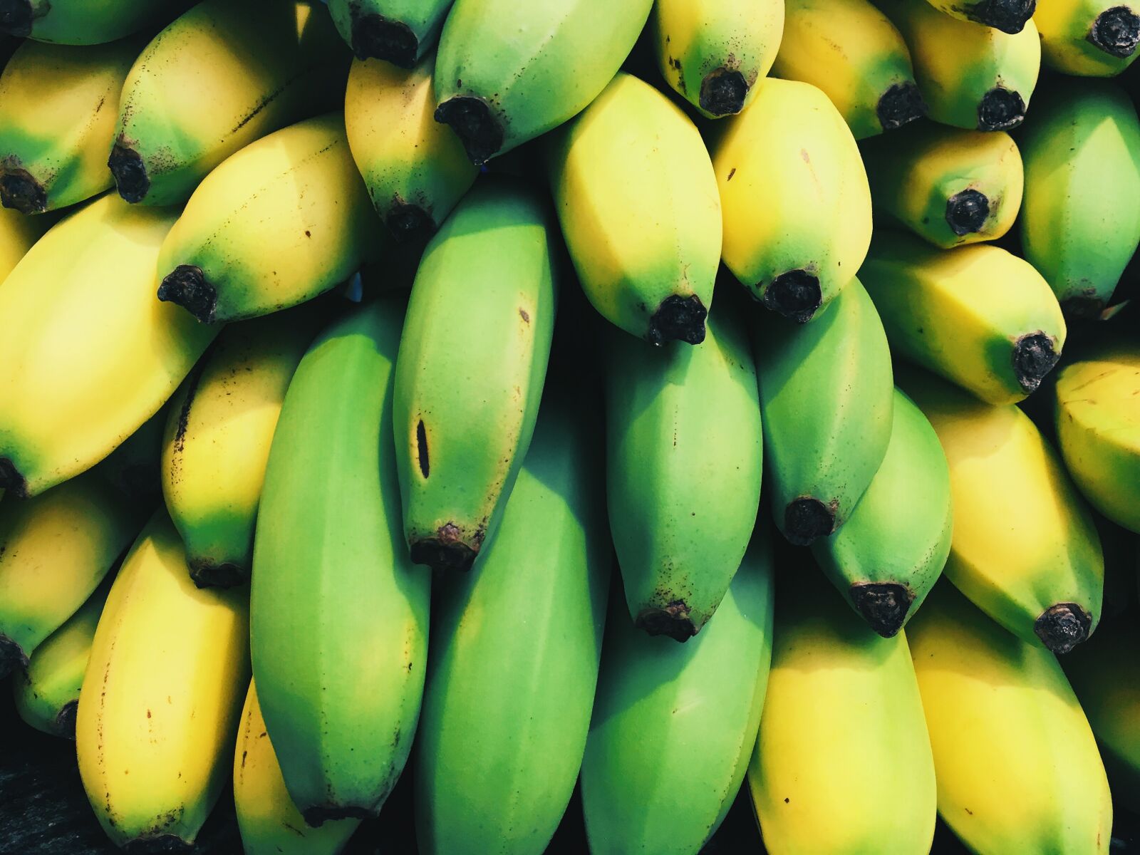 Apple iPhone 6 sample photo. Banana, no, person, fruit photography