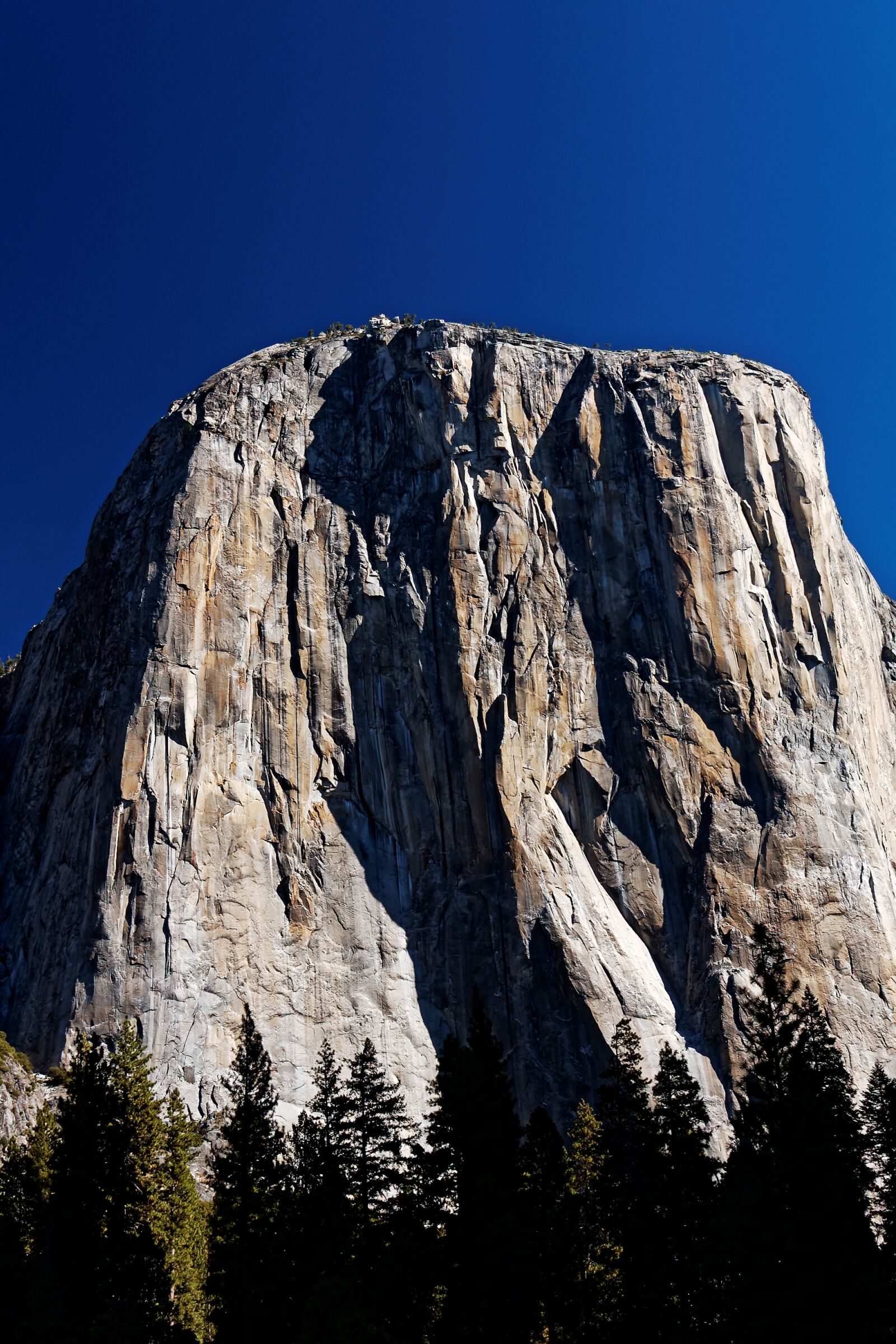 Nikon D50 sample photo. El capitan, california, national photography