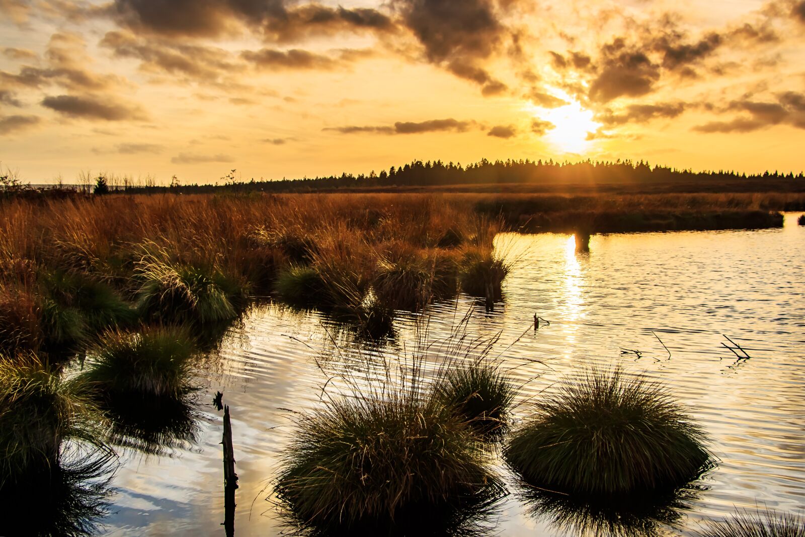 Canon EOS 80D sample photo. Sunset, moor, venn photography