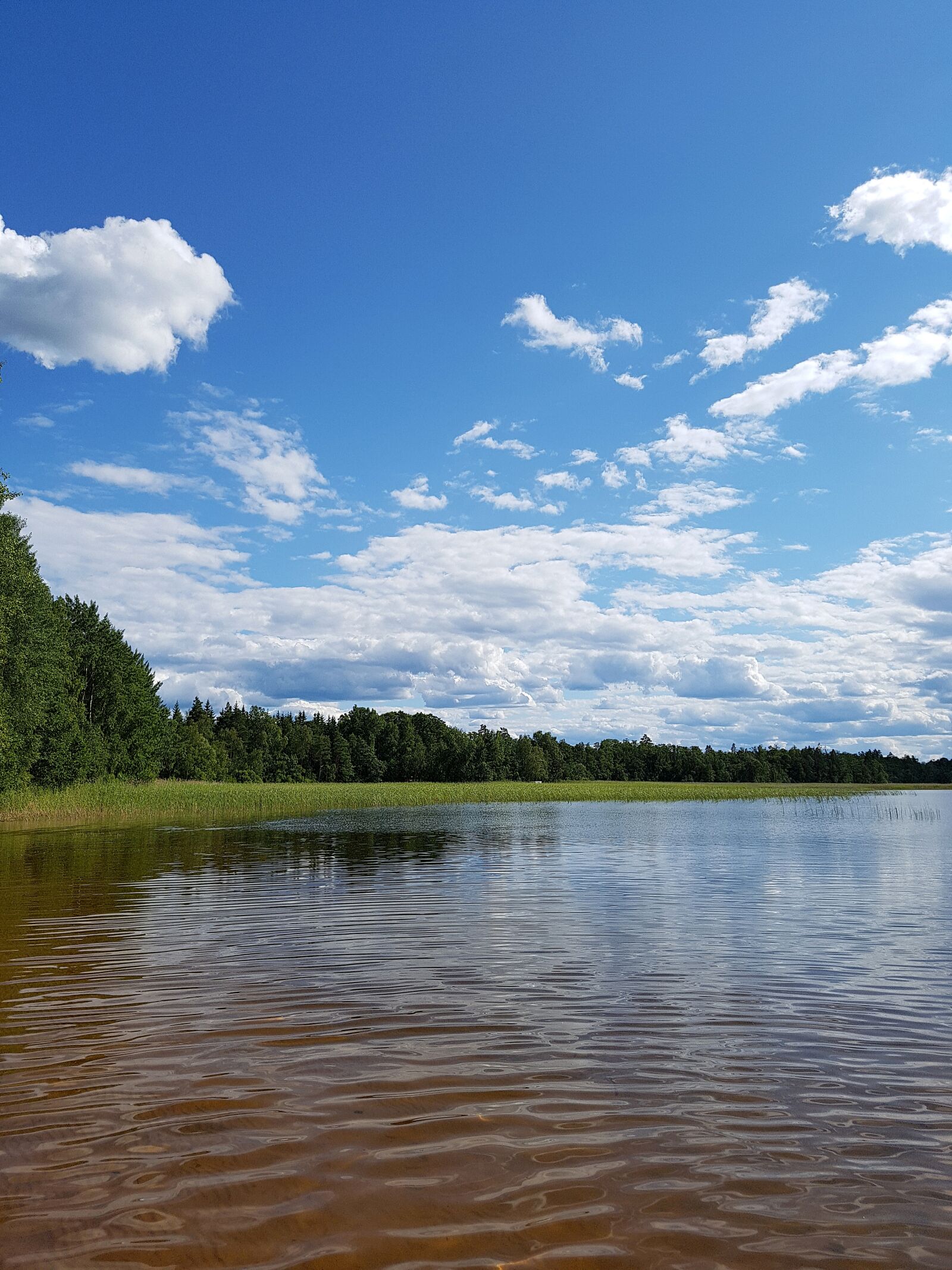 Samsung Galaxy S7 sample photo. Sweden, lake, rest photography