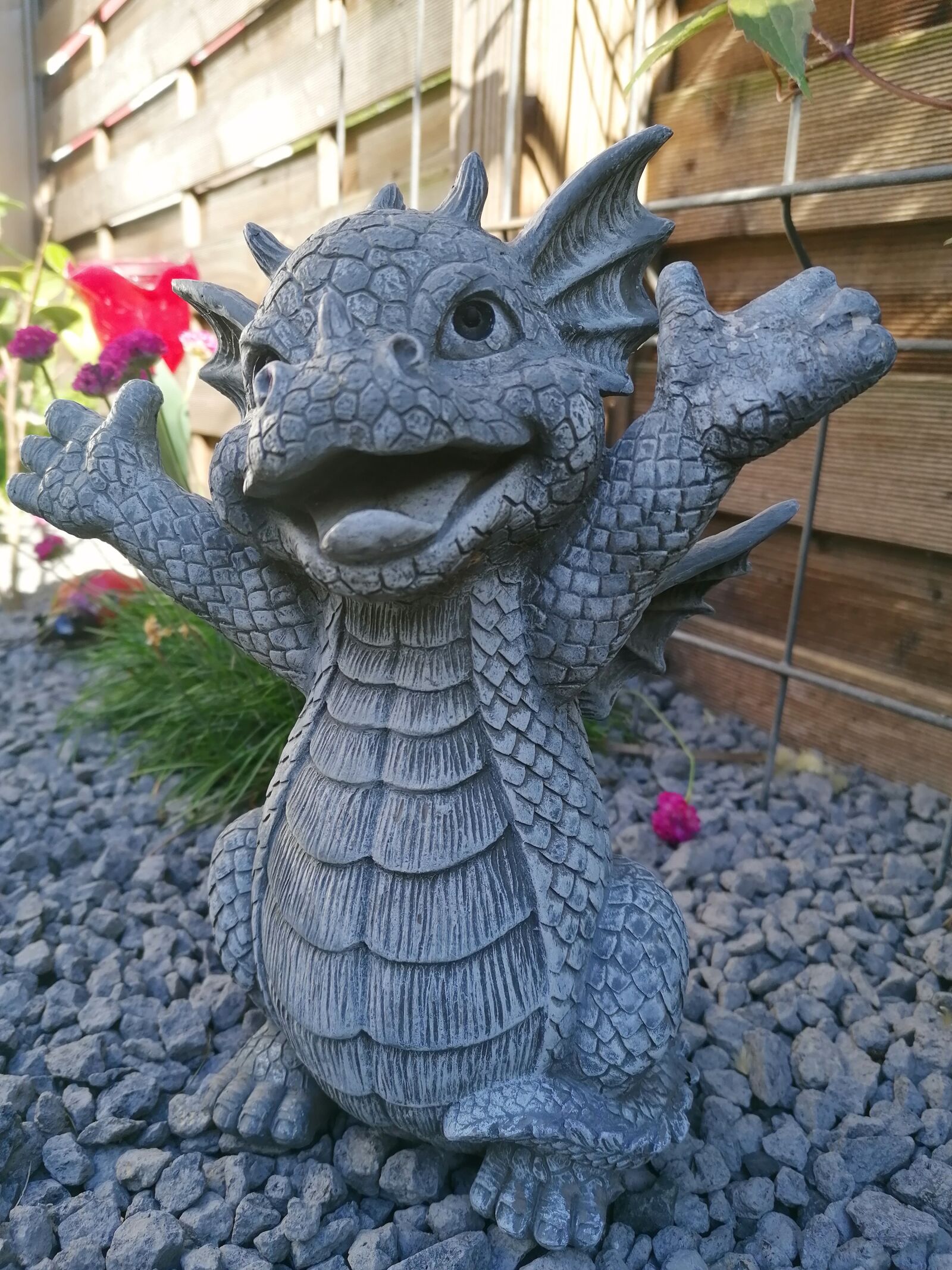 HUAWEI P30 LITE sample photo. Dragon, garden, stones photography