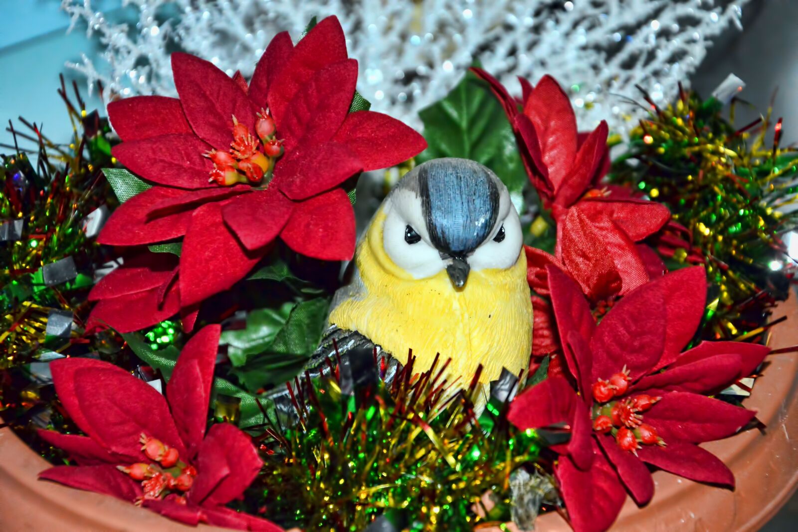 Nikon D3200 sample photo. Poinsettia, figure, bird photography