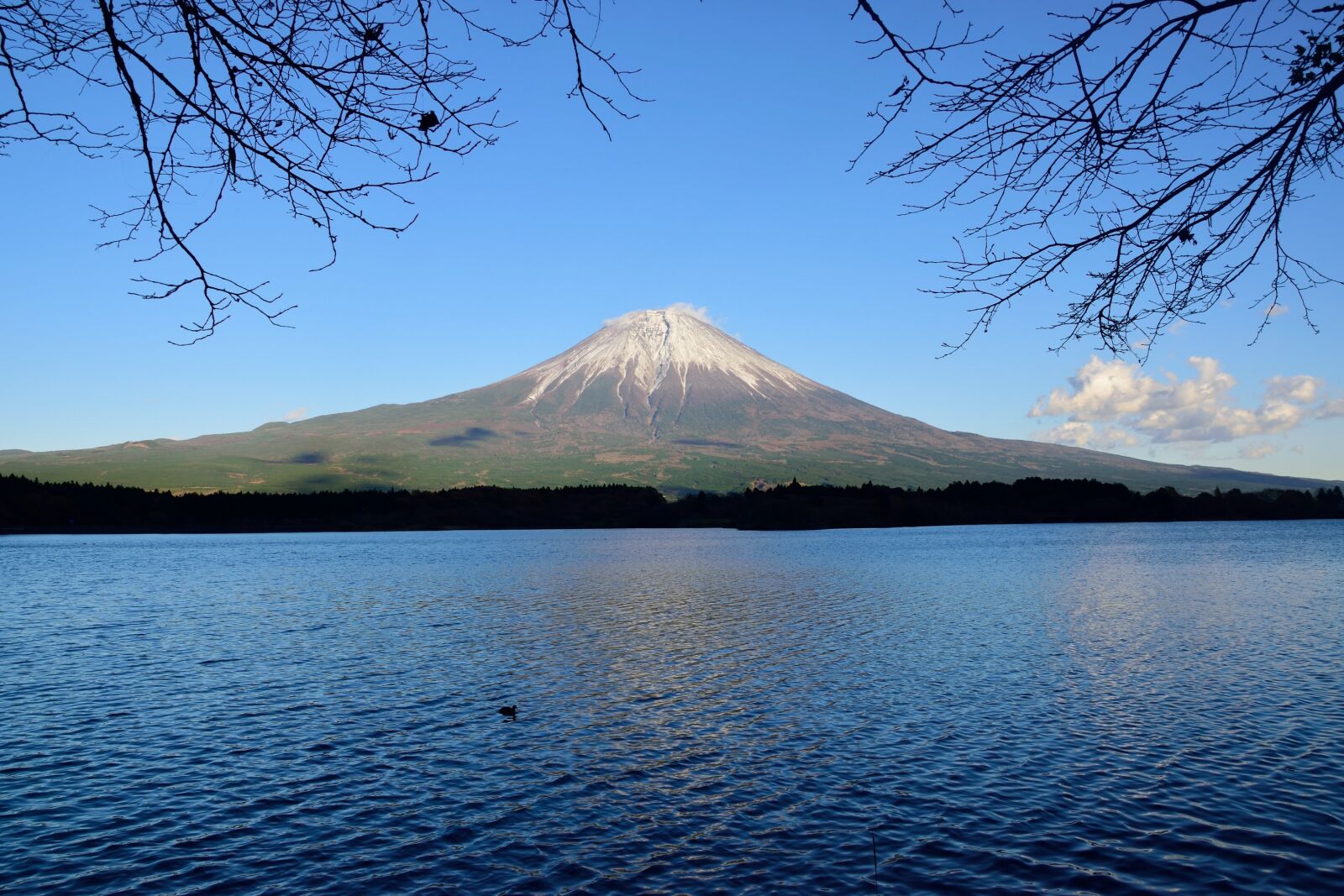 Nikon D5300 sample photo. Mountain, japan, hills photography