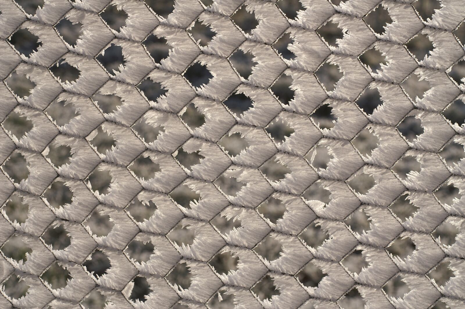 KONICA MINOLTA DYNAX 7D sample photo. Pattern, abstract, desktop photography
